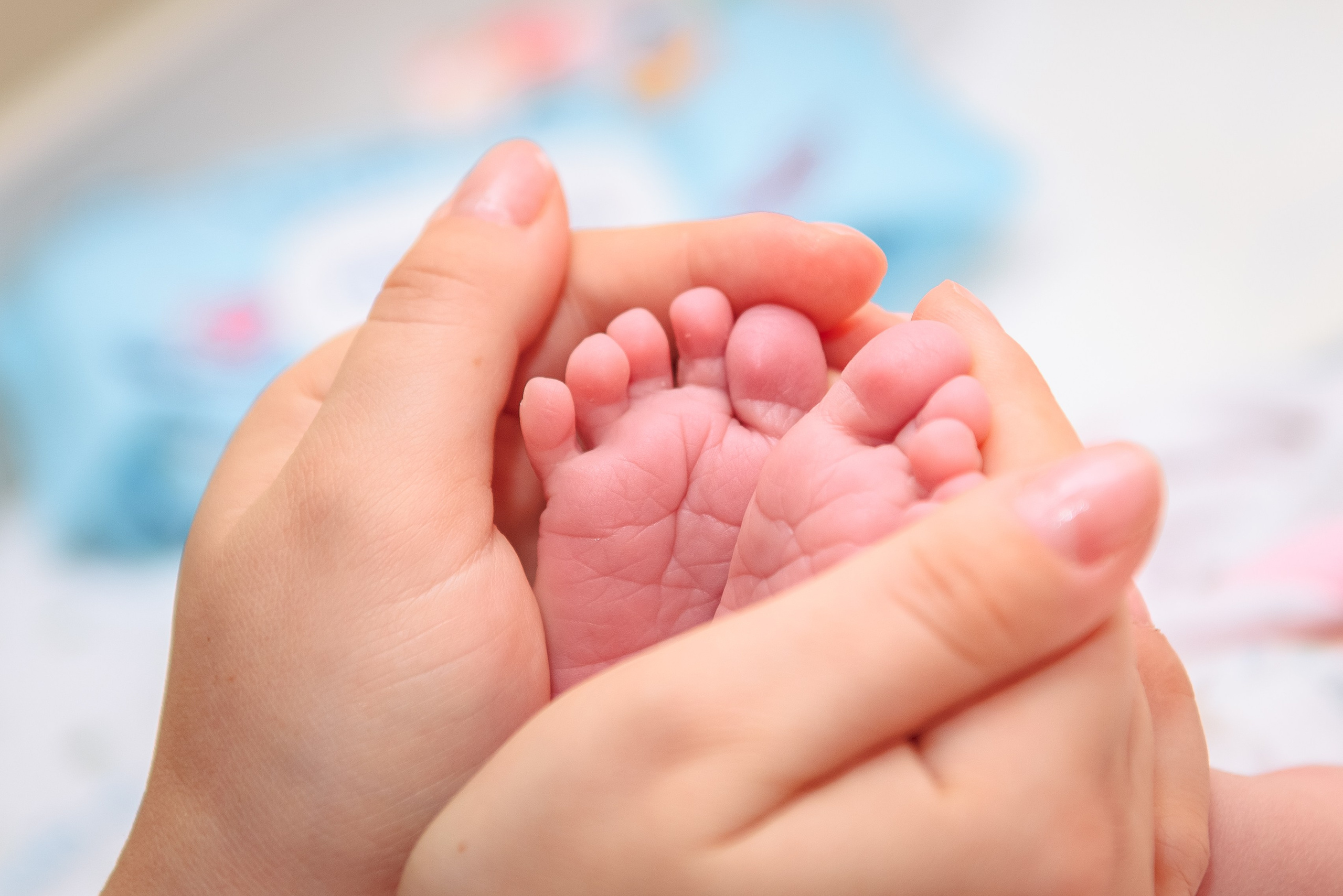 Выписка из роддома. Свадебный и семейный фотограф в Москве Юлия Винник