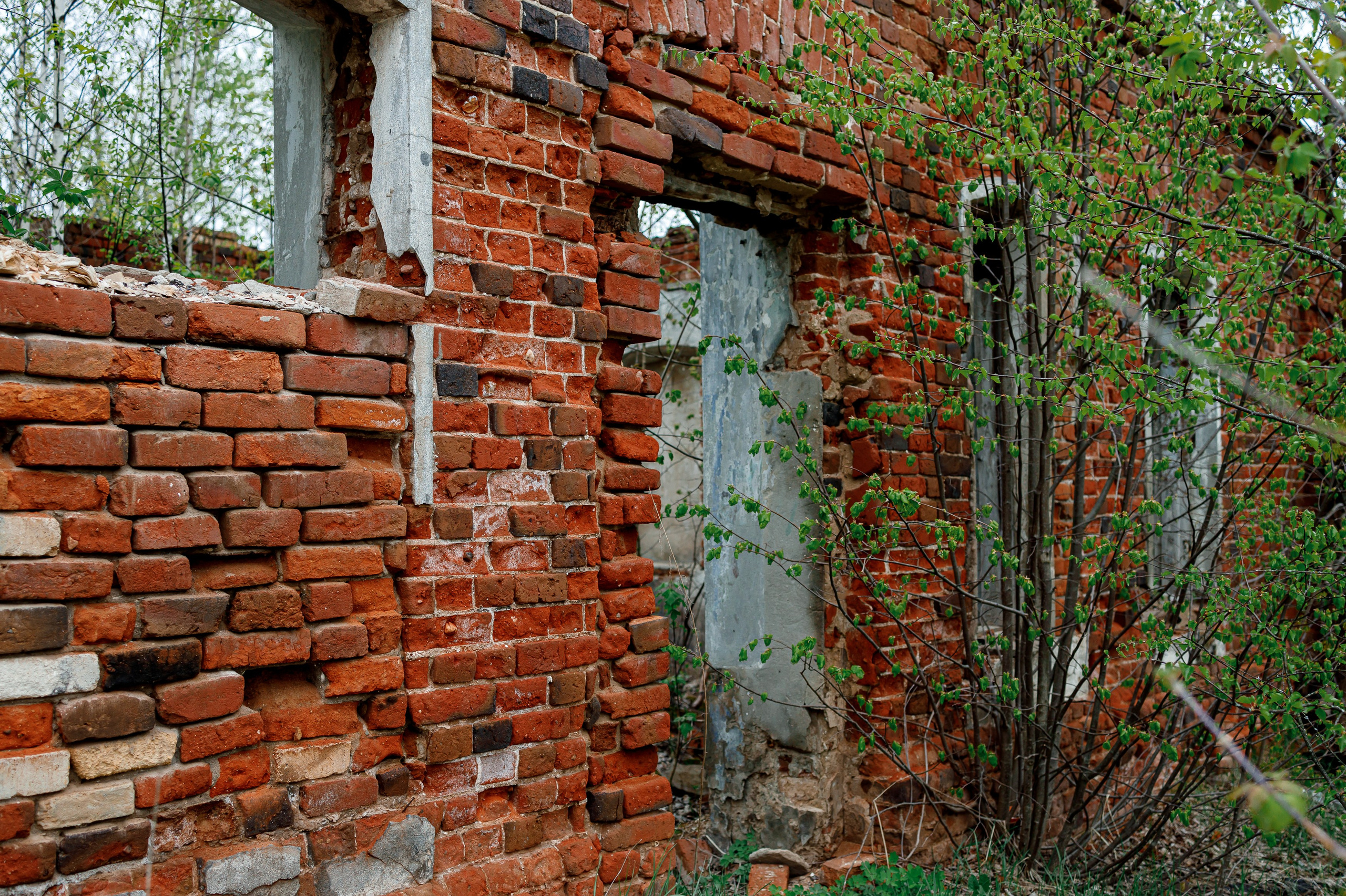 Непривычная фотография. Репортажный и портретный фотограф в Москве Саханцева Анна