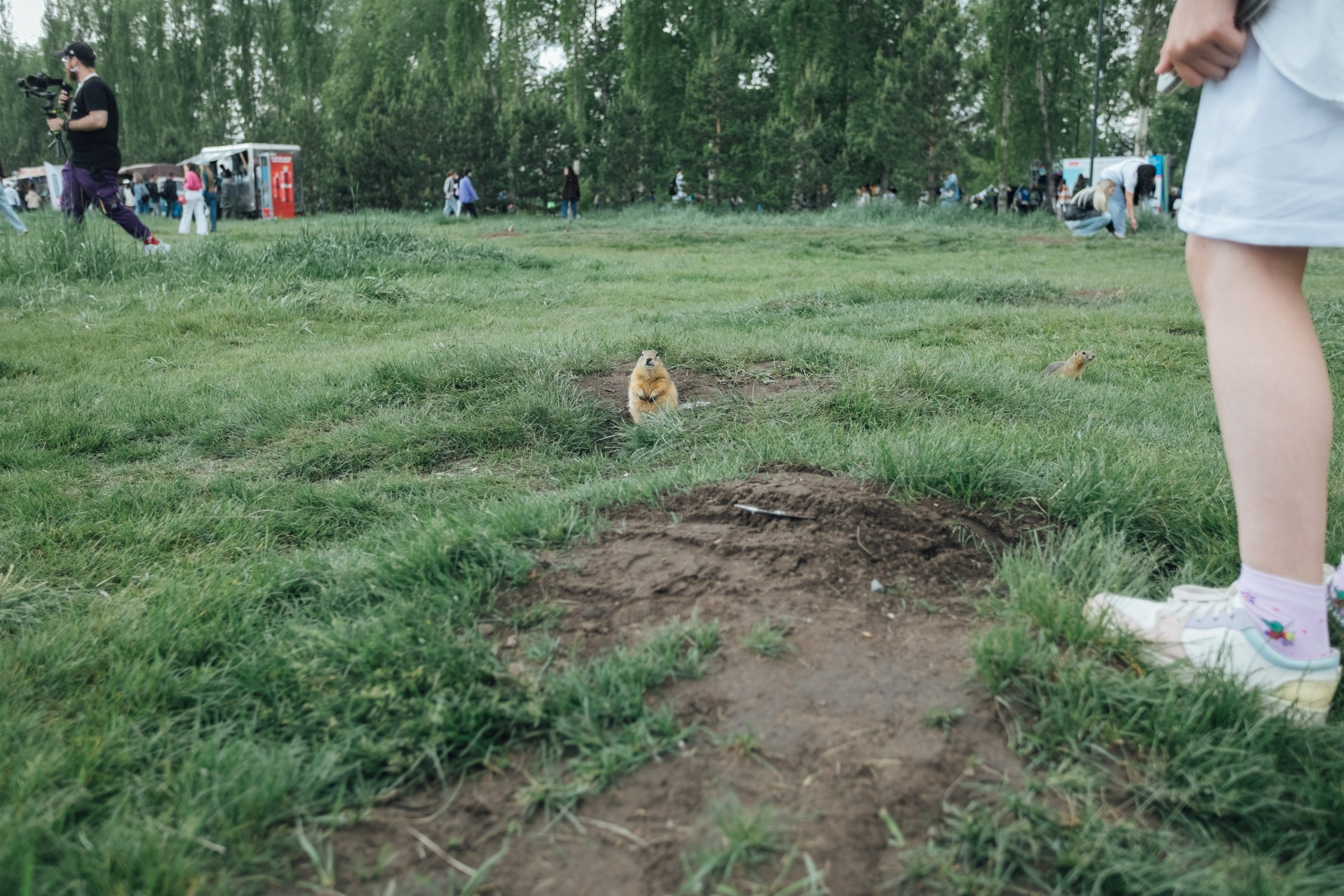 Vk Fest 2024 в Красноярске @ Остров Татышев. Репортажный фотограф Максим Полянский. Москва, Санкт-Петербург, Красноярск