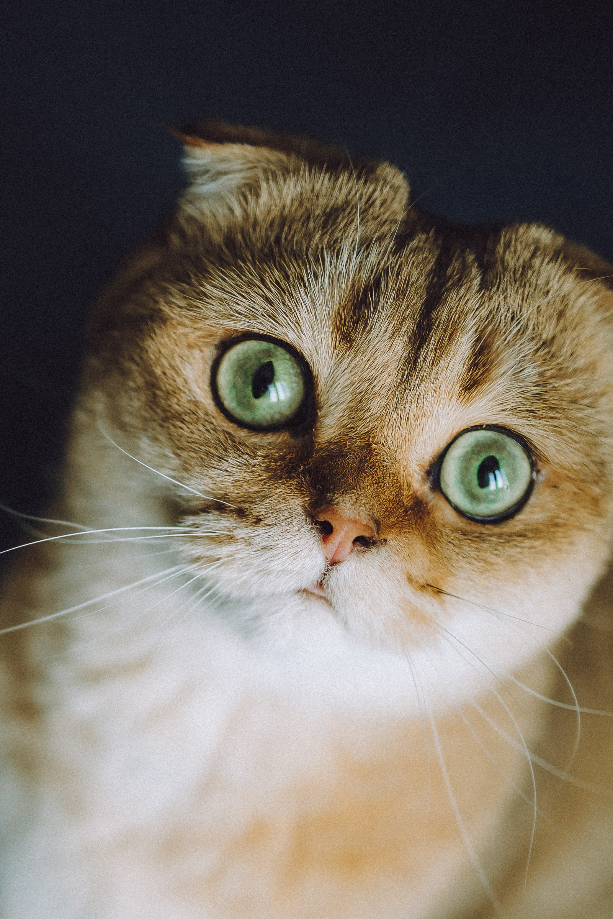 Генри и его семья