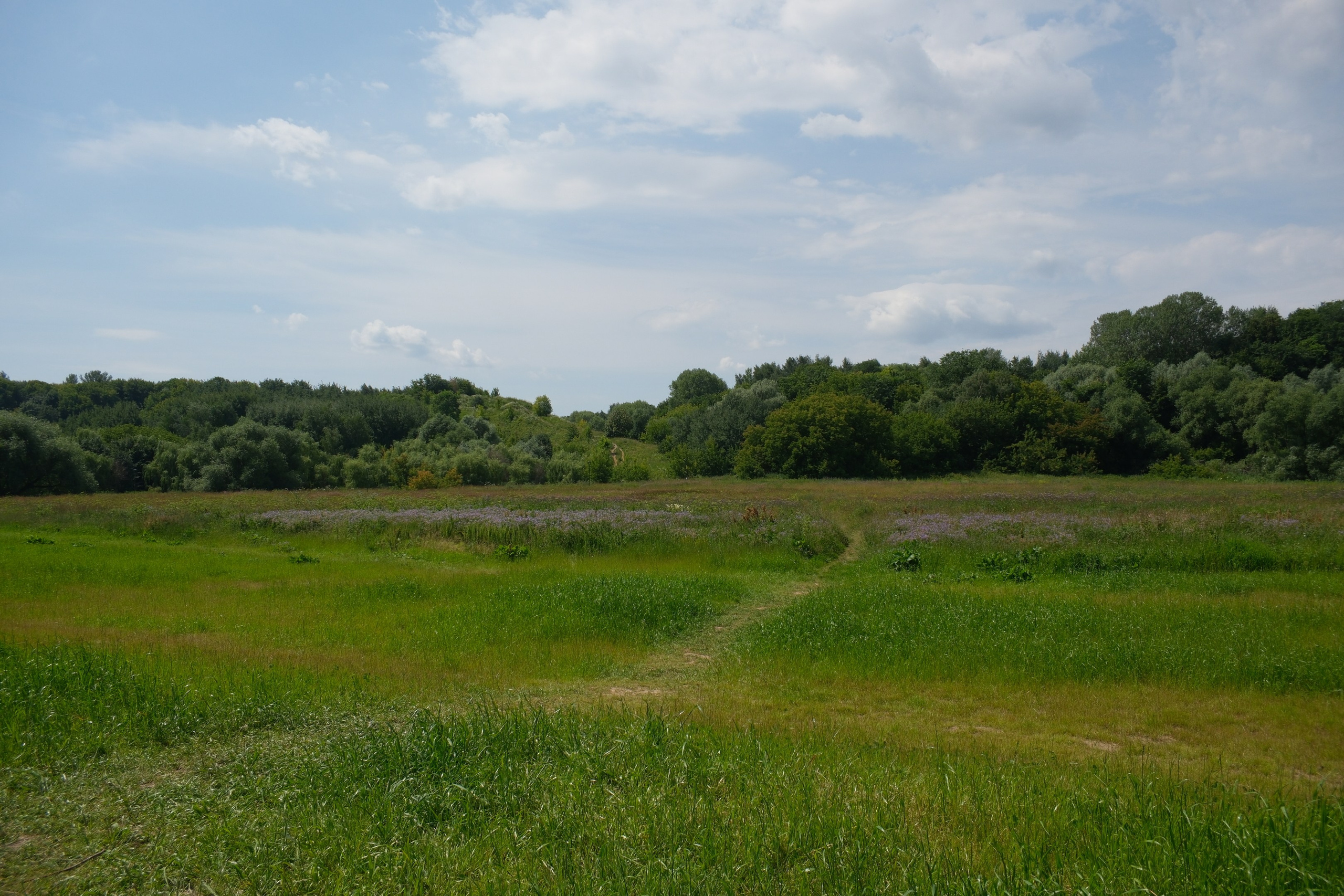 В Коломенском 07.07.2025. Улица, люди, жизнь…