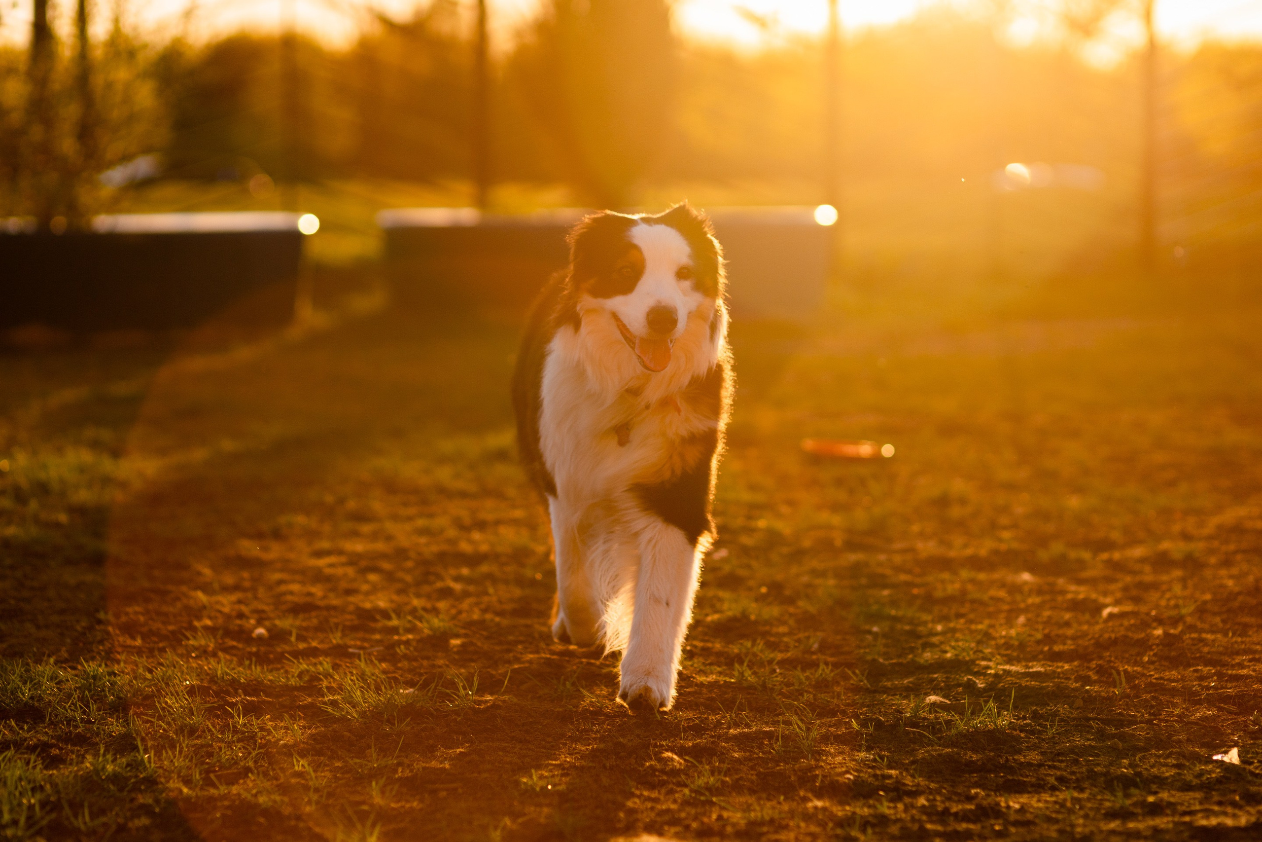 Заявка на фотосъемку. Павел Шарапов | Фотограф | Москва