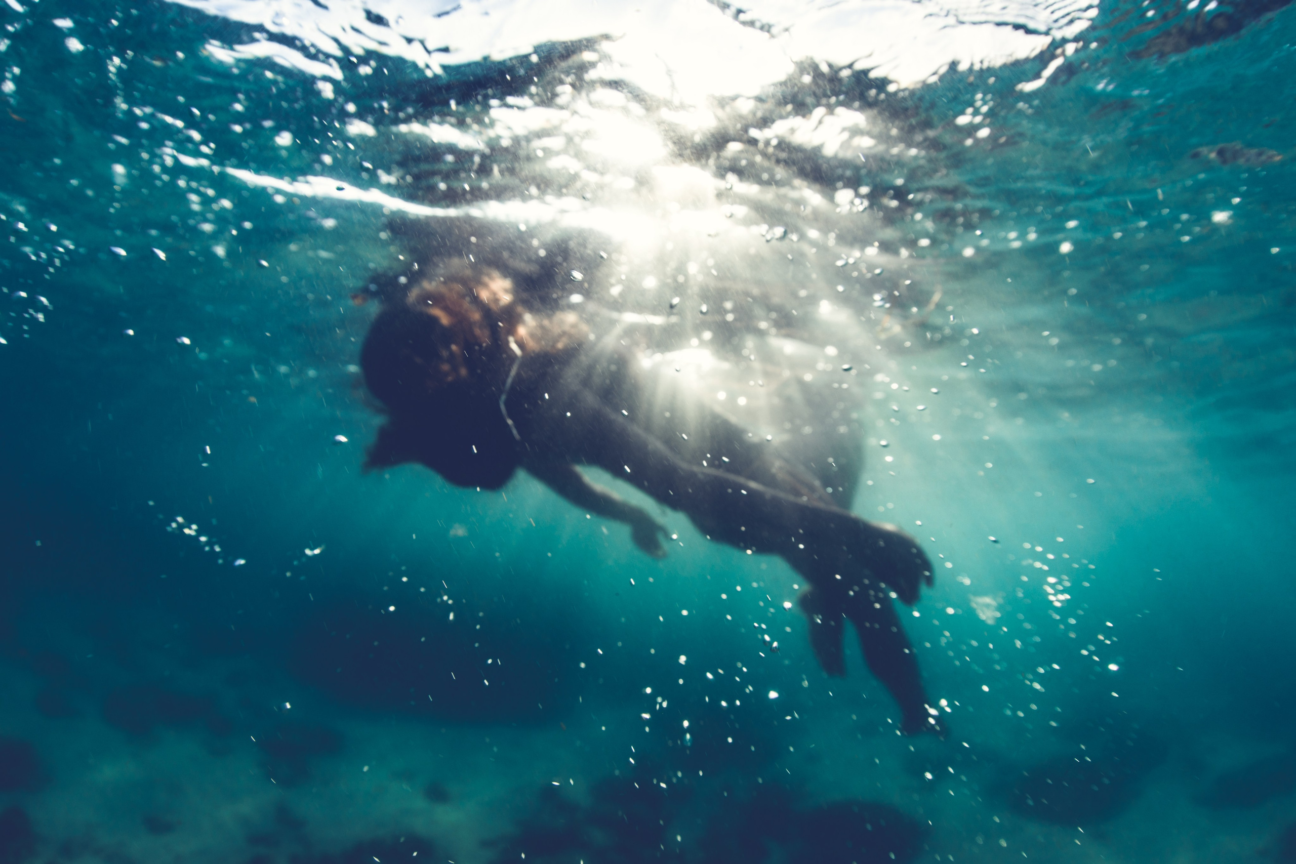 Underwater Photos. Лайфстайл Фотограф и Профессиональный Водный Фотограф в Москве
