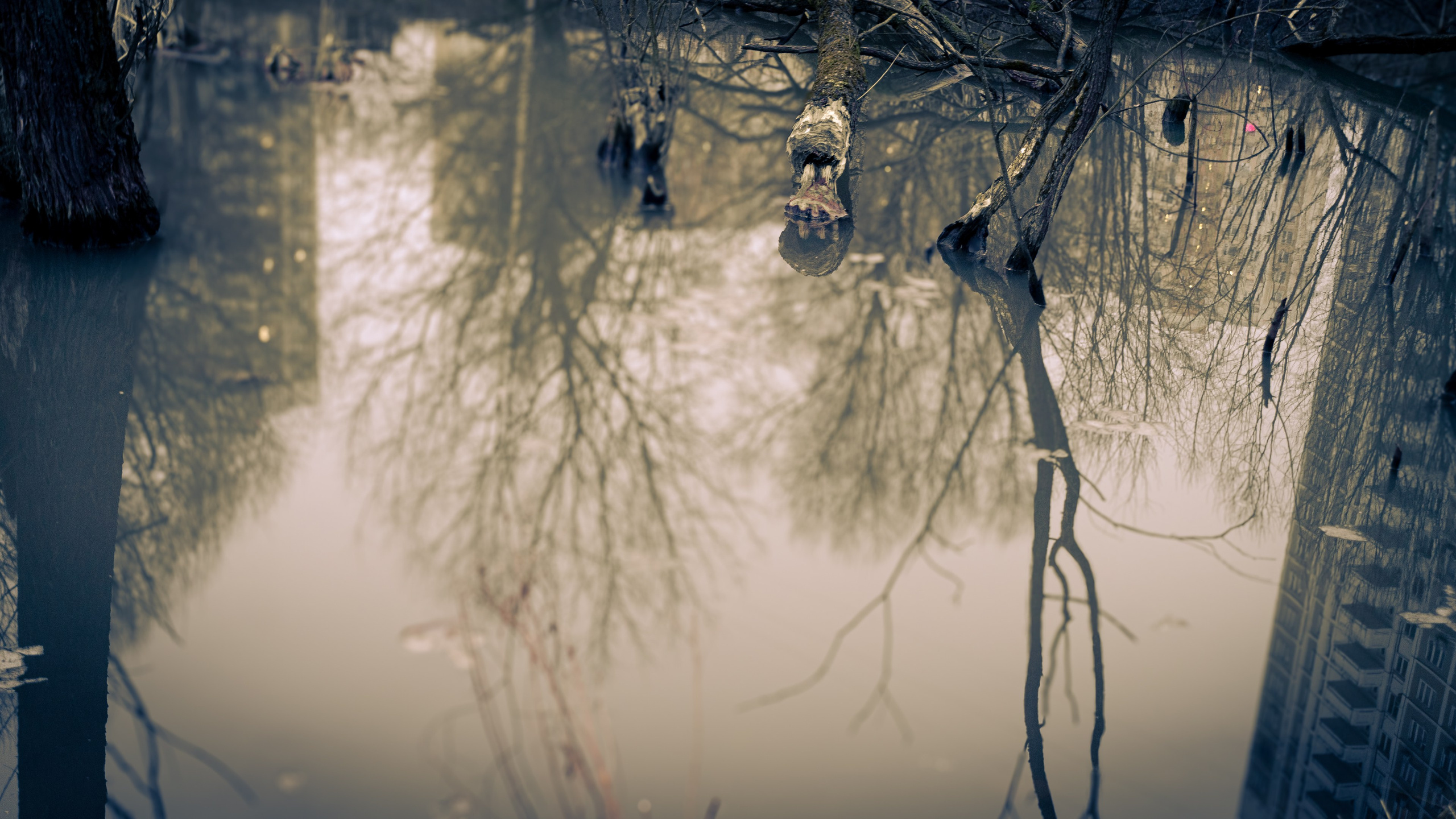 Сырость января 25-го. ПОБУДЬ ЗДЕСЬ И ЦЕЛЕЕ БУДЕТ ЭТОТ МИР