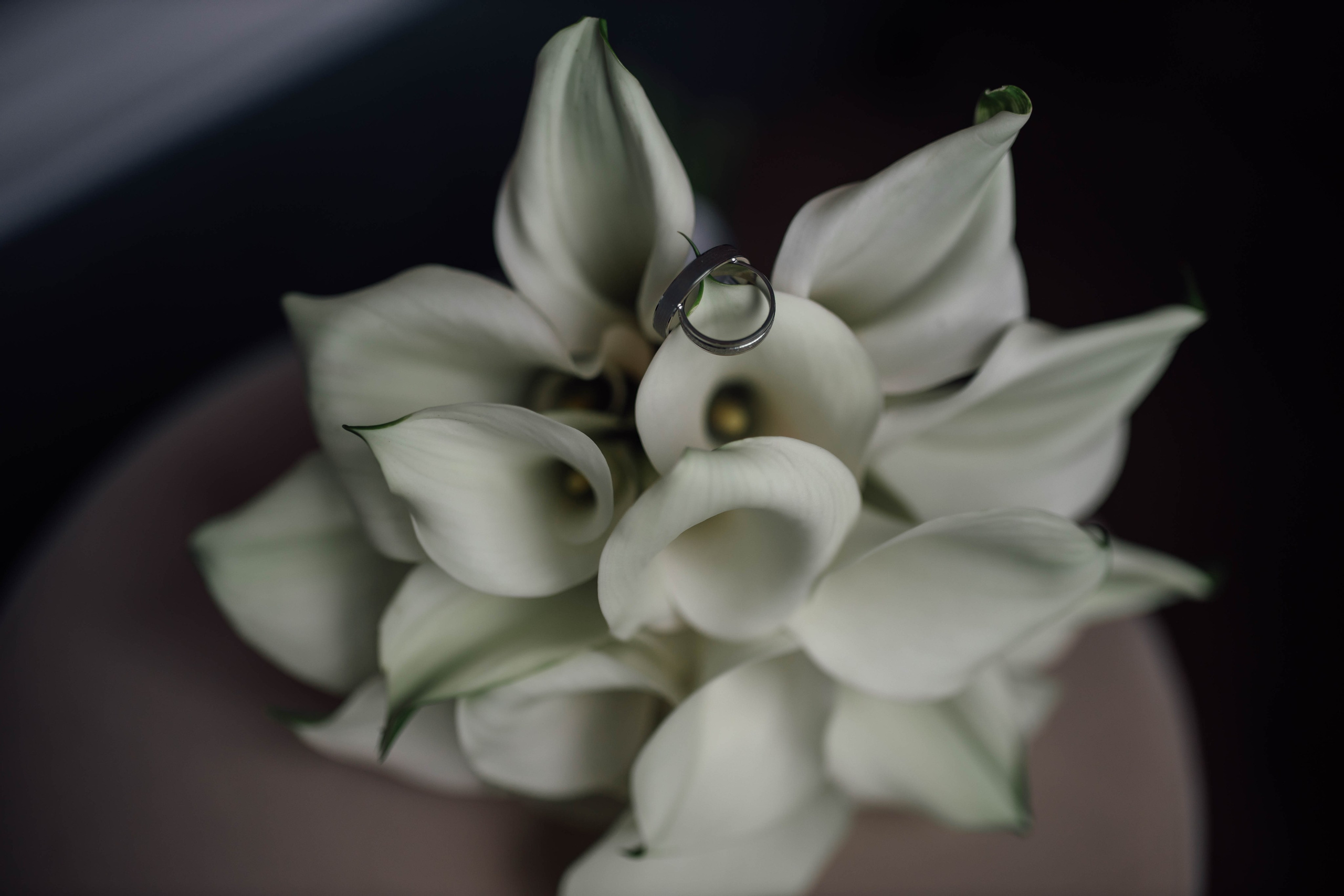 Максим и Ольга. Фотограф в Москве Юлия Хамзина