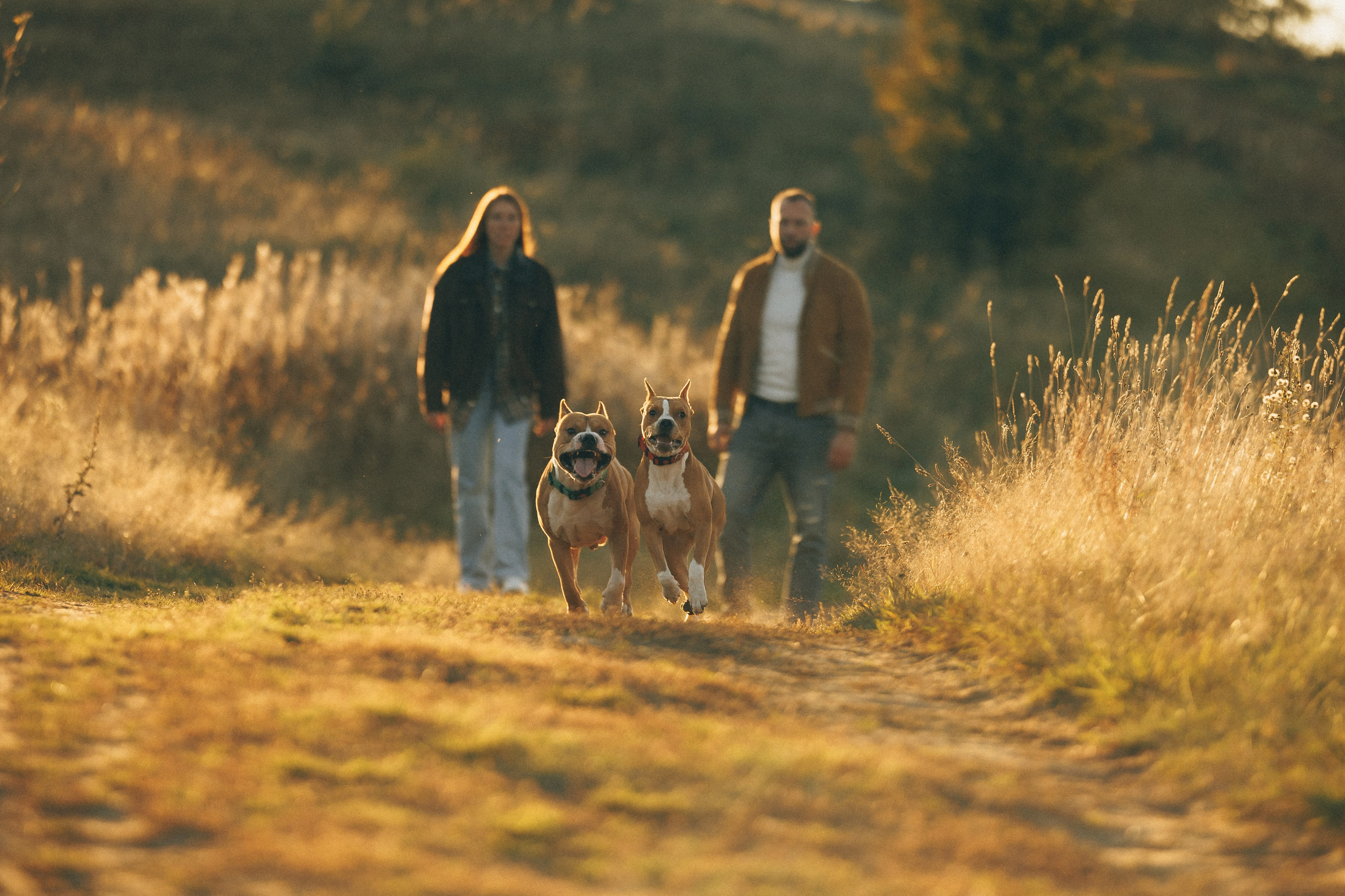 Собаки и их люди. Фотограф- анималист Санкт-Петербург