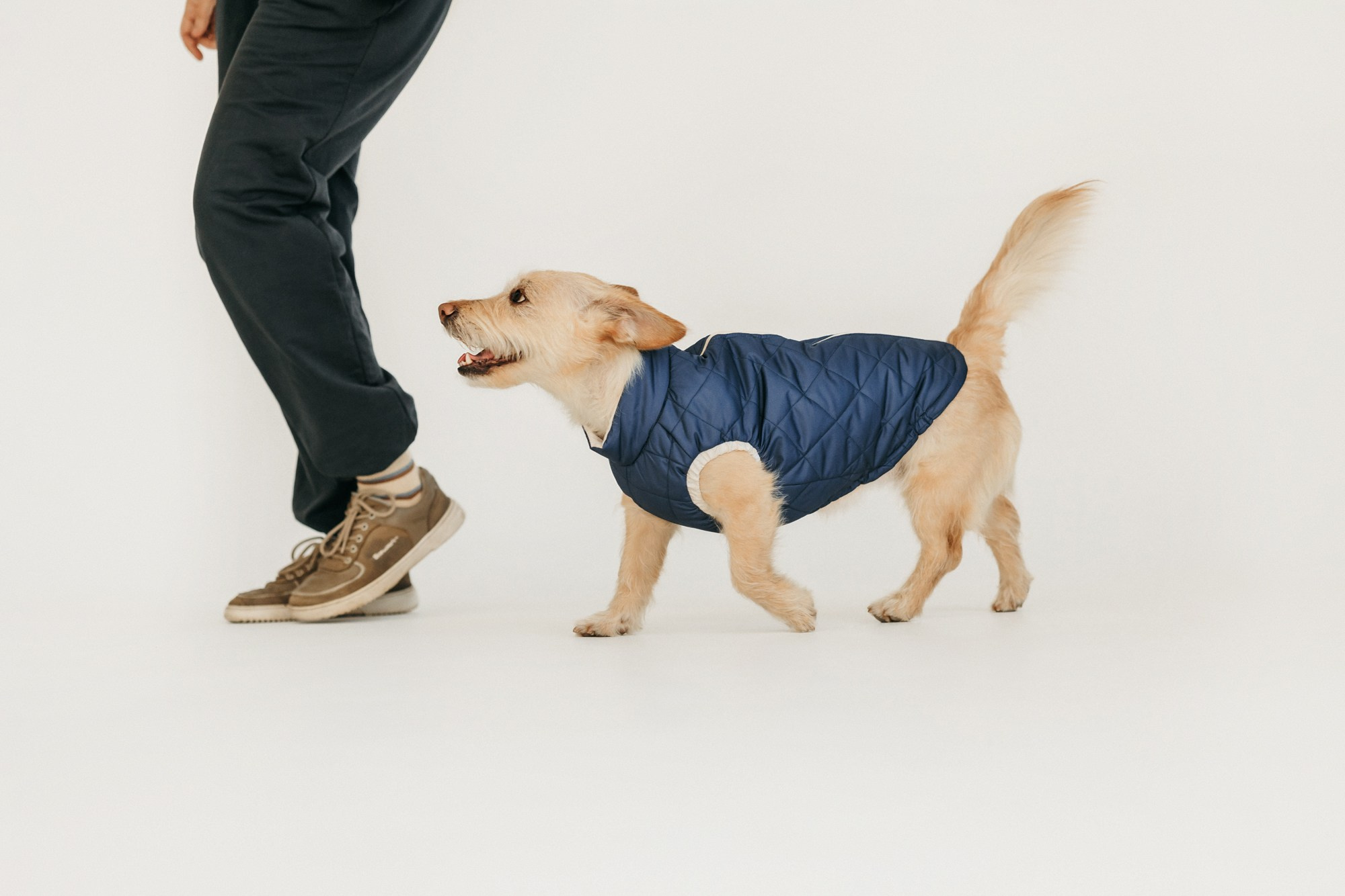 Одежда Lapa`s brand. Фотограф-анималист Елена Радченко, Москва