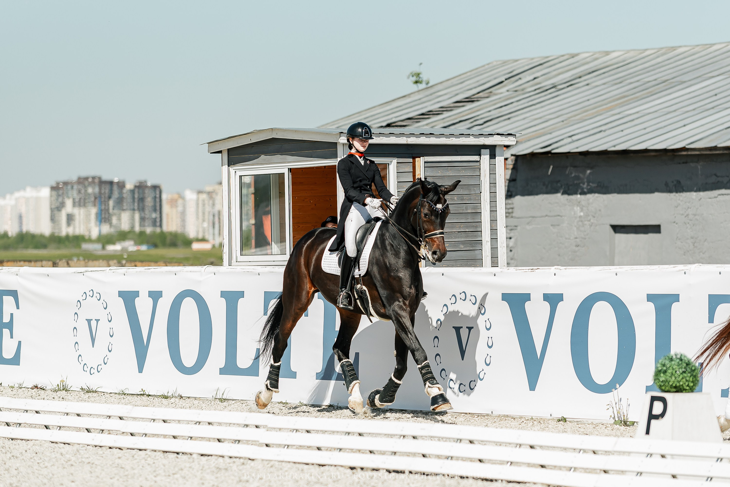 РЕПОРТАЖ МКК ВОЛЬТ «LA TULIPS». Конный фотограф Куракина Дарья • Фотосессии с лошадьми