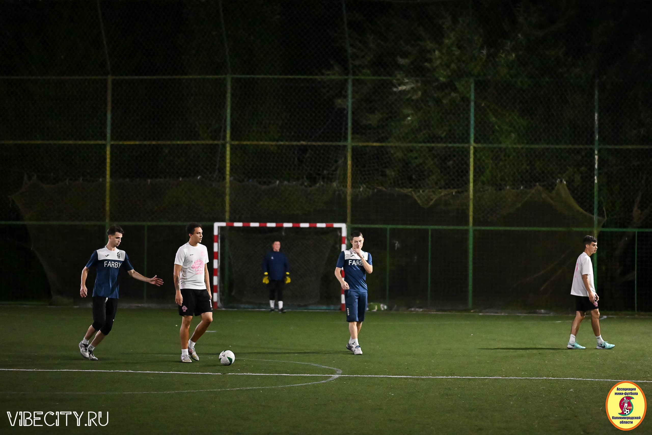 ФИНАЛЬНЫЕ ИГРЫ КУБКА МИНИ-ФУТБОЛЬНОЙ ЛИГИ И КУБКА КОРПОРАТИВНОЙ МФЛ 2025. VIBECITY.RU Вайб Сити Ру Фоторепортажи Фотоотчеты Калининград