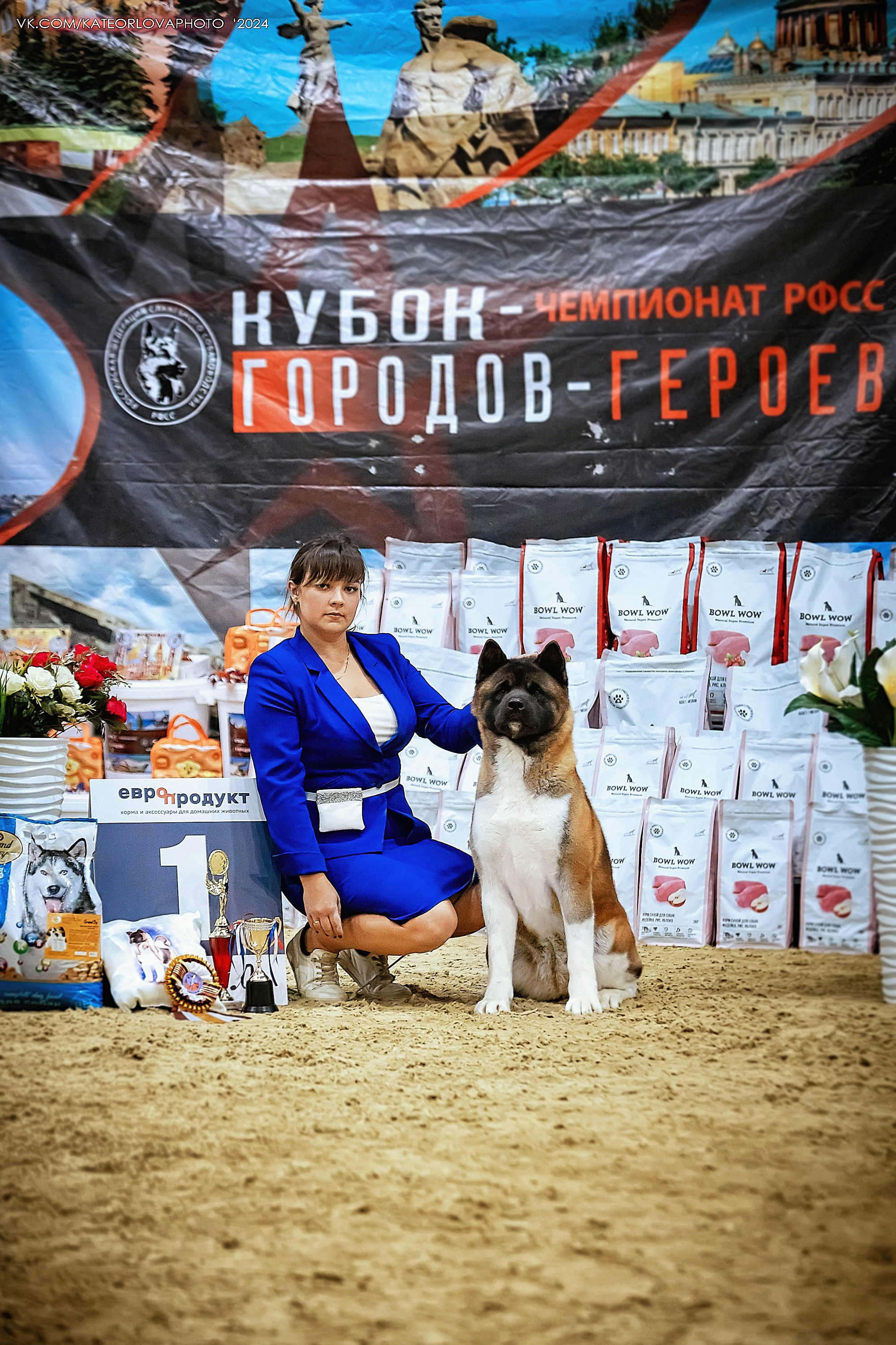 Фотосъемка собак, щенков, на выставках, фотограф анималист Россия воронеж. Питомник собак Акита, Хаски, Корги