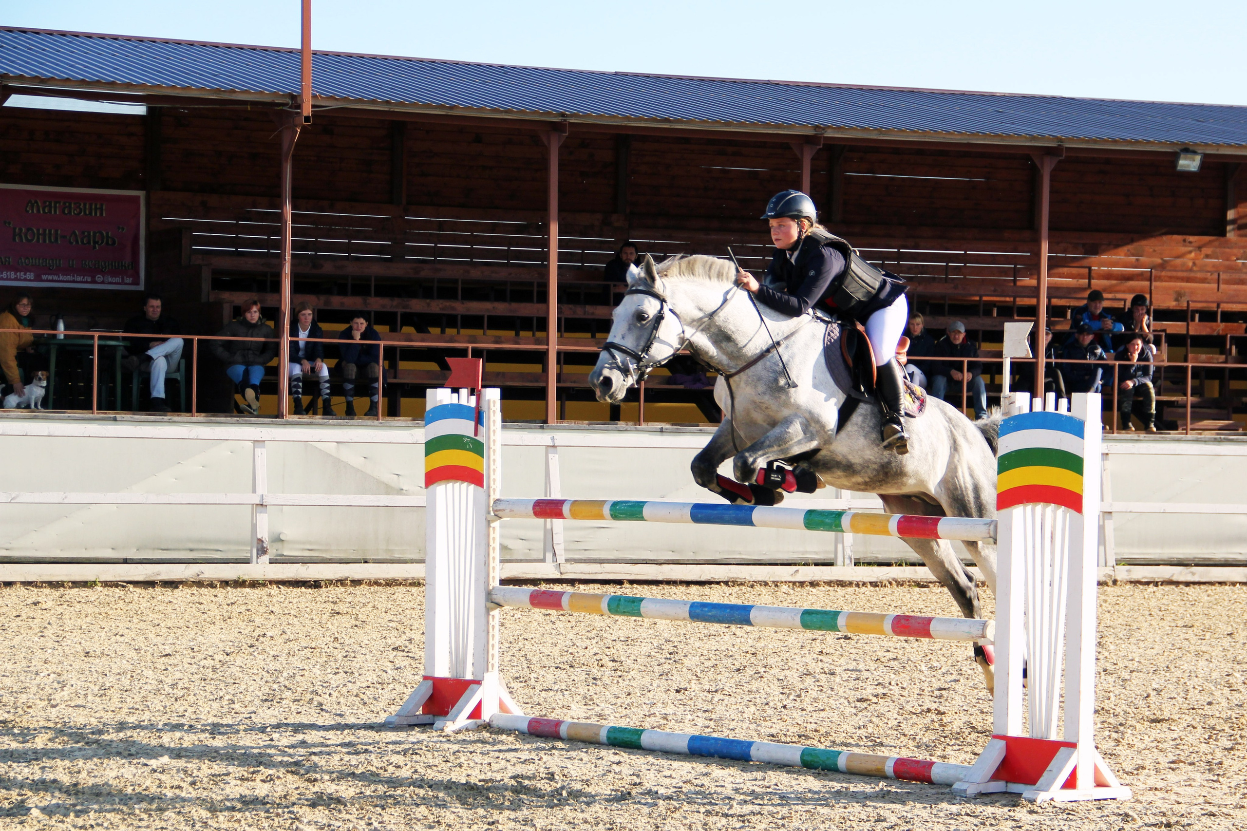 Соревнования. Фотосессии с лошадьми в Москве и МО