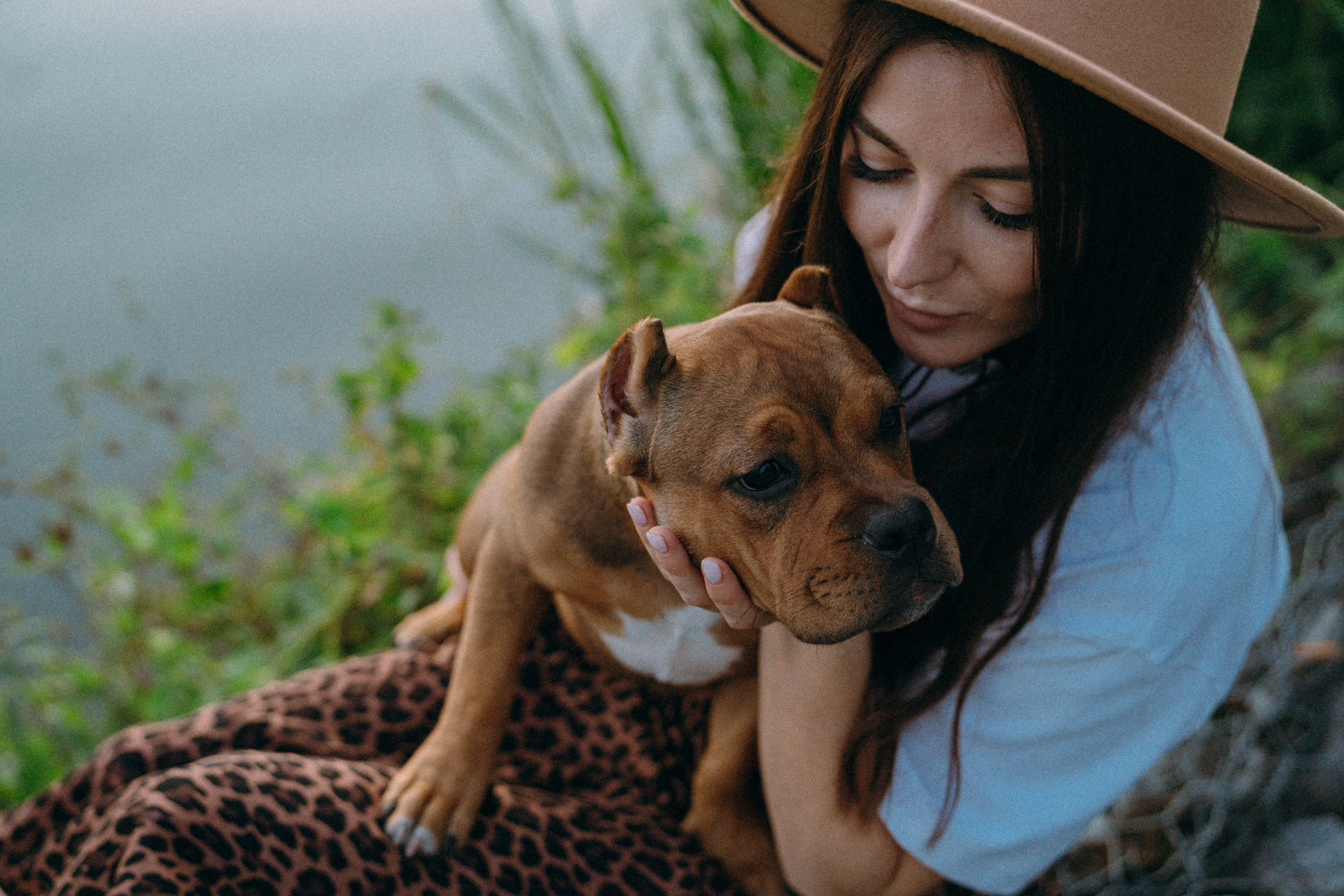 Кристина и Эфи. Фотограф анималист в Москве и Санкт-Петербурге Свиридова Анна