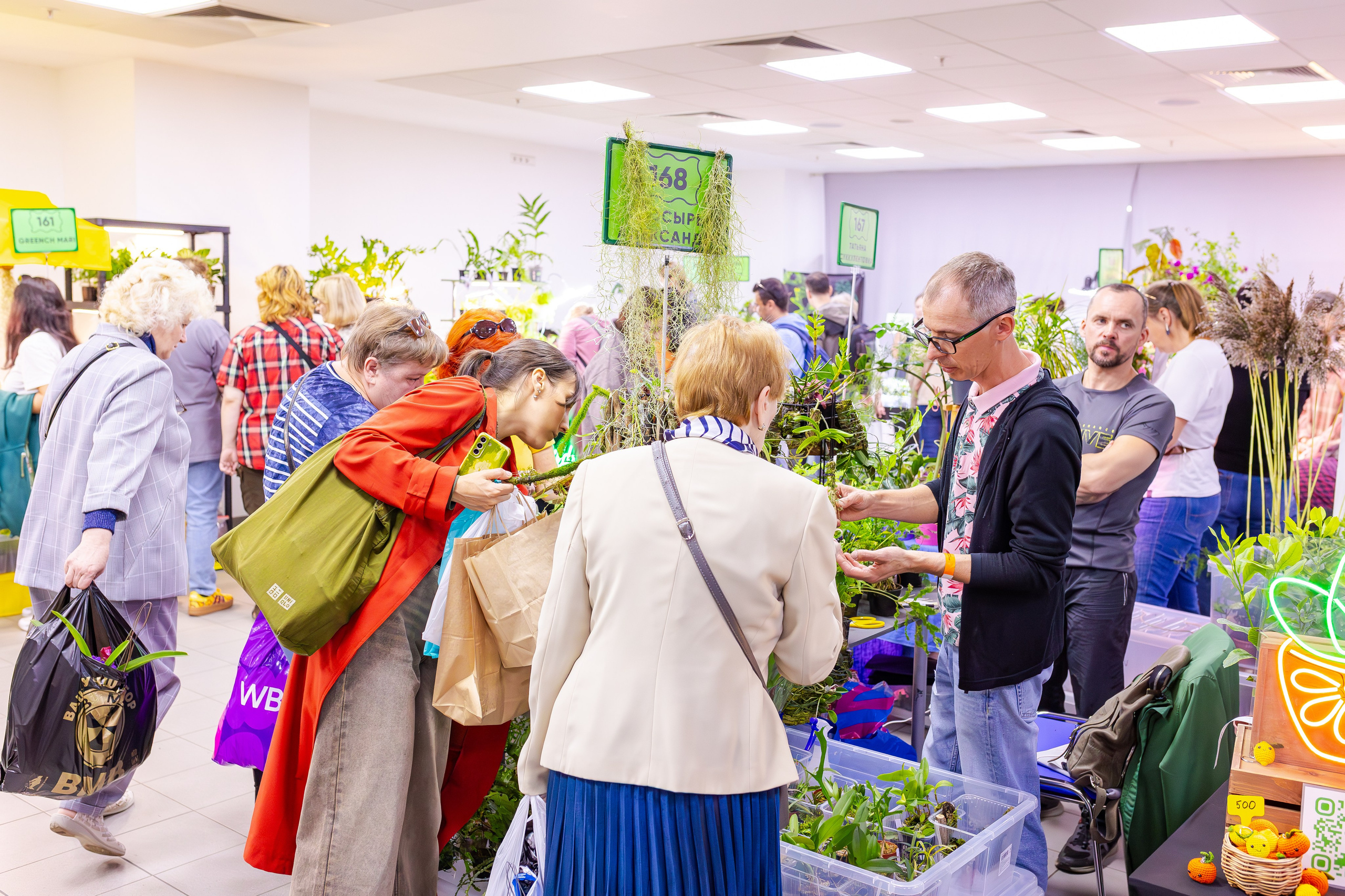 Орхидиум сентябрь 2025. Александра Куликова фотограф, Москва