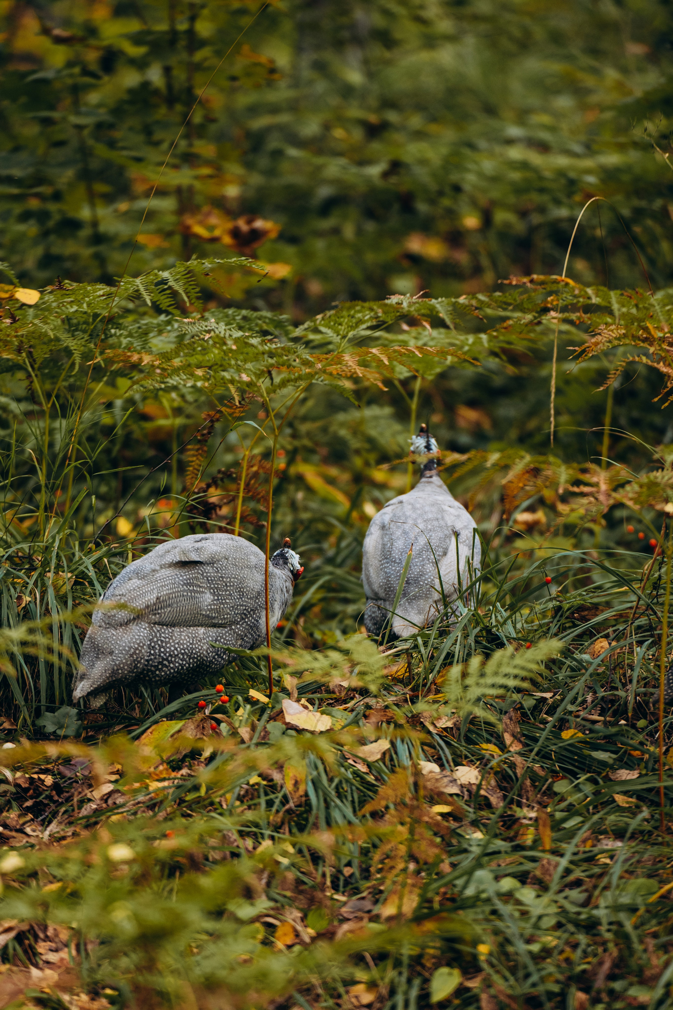 СЕВЕР. Event фотограф Степанова Александра
