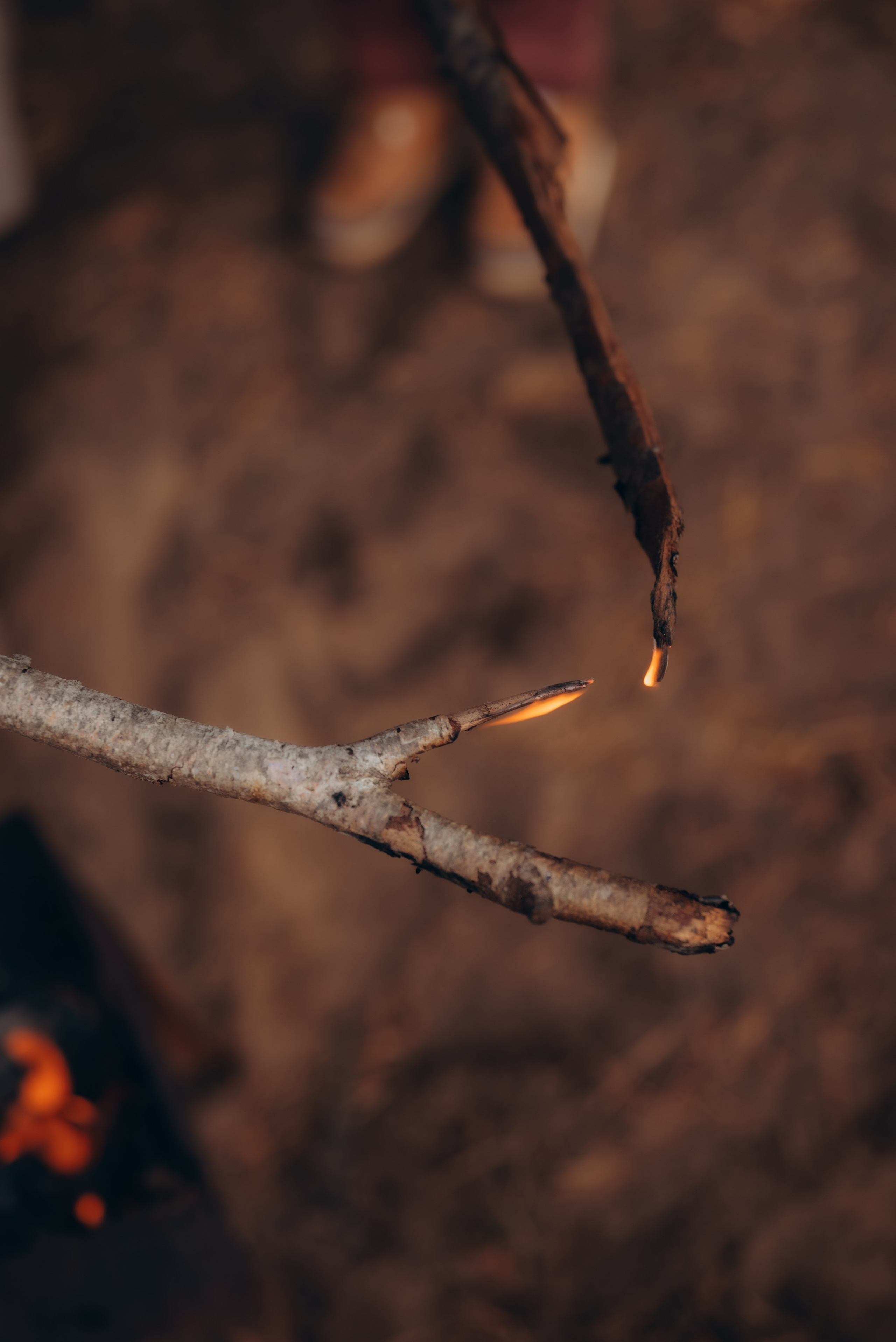 Катя, Максим, Олеся, Алёна, Ксюша и Серёжа. Семейный фотограф в Москве Дарья Пузикова