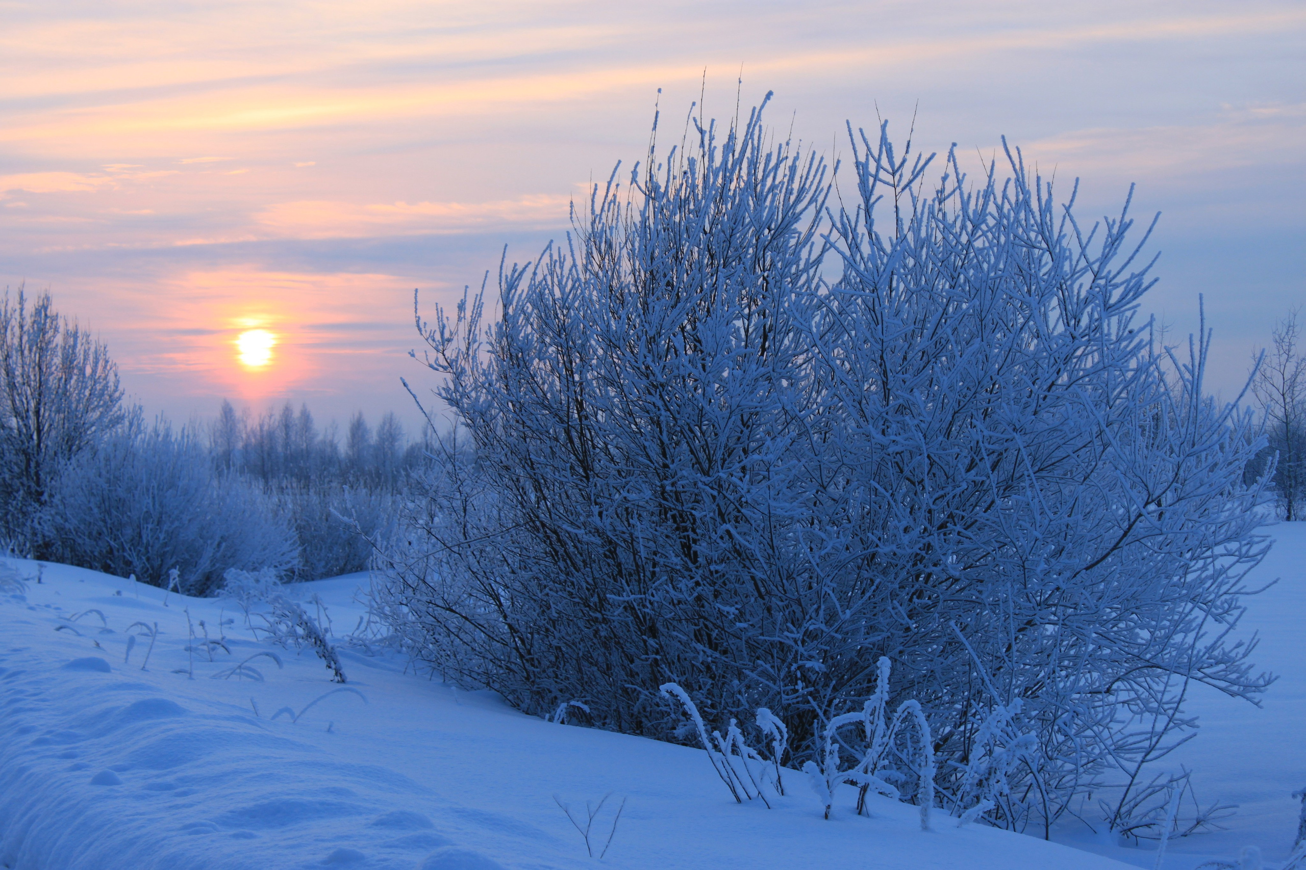 ЧУДЕСА РУССКОЙ ЗИМЫ…. СЕМЕЙНЫЙ, ПОРТРЕТНЫЙ И ДЕТСКИЙ ФОТОГРАФ в Ярославле Илья Васильев