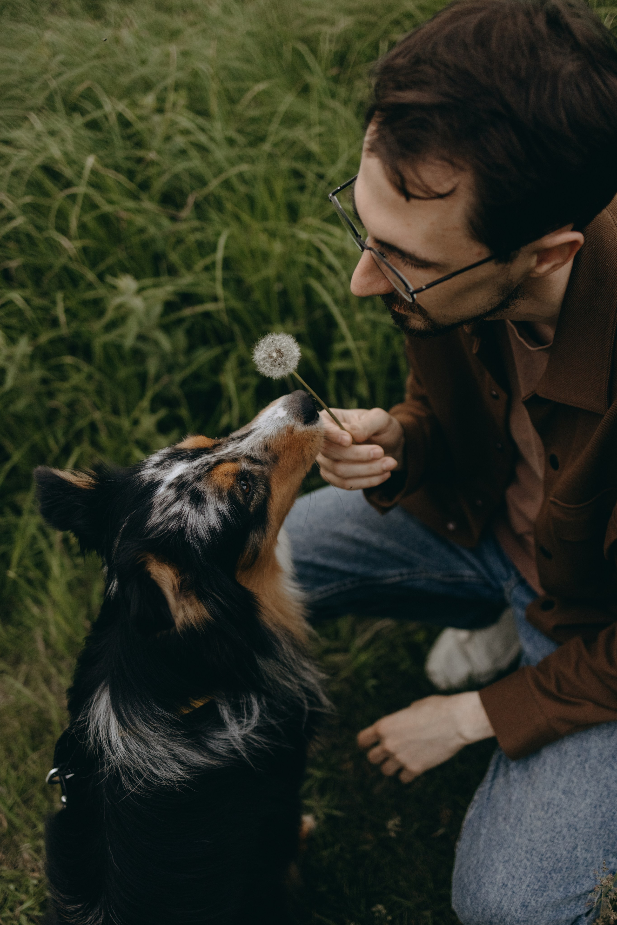 Настя, Никита и их Гром и Мяу. Фотограф — Анималист | Санкт-Петербург