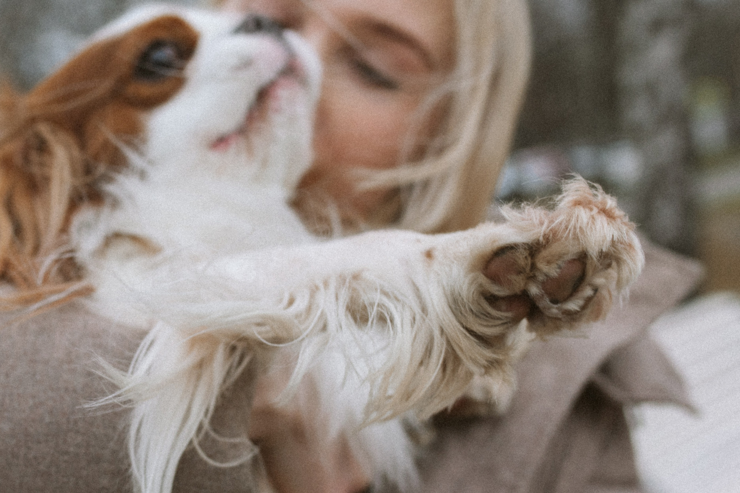 Настя и Тэйлор. Фотограф анималист в Москве Ольга Агушева