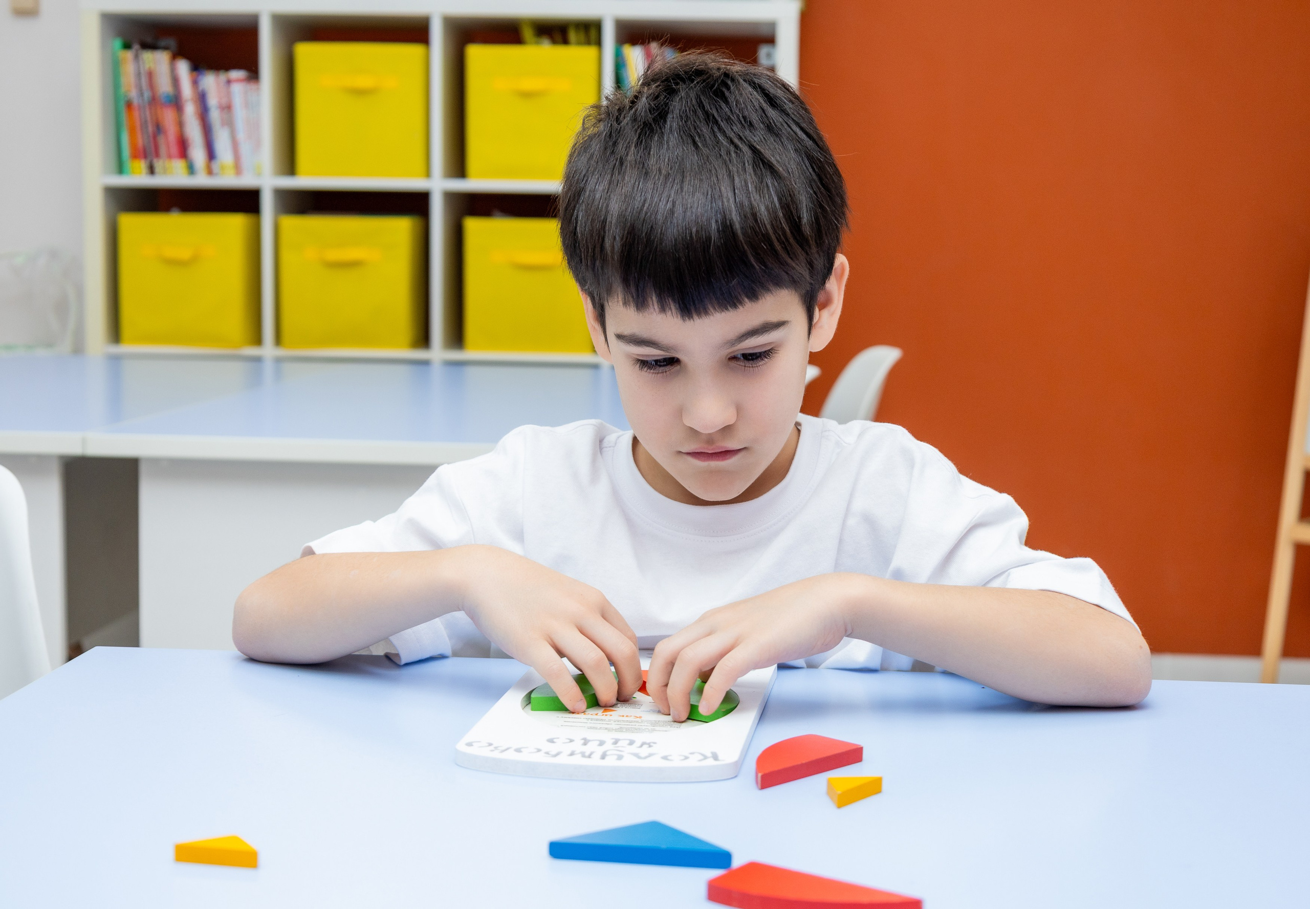 Школа IQ 007. Семейный и Свадебный фотограф в Сочи