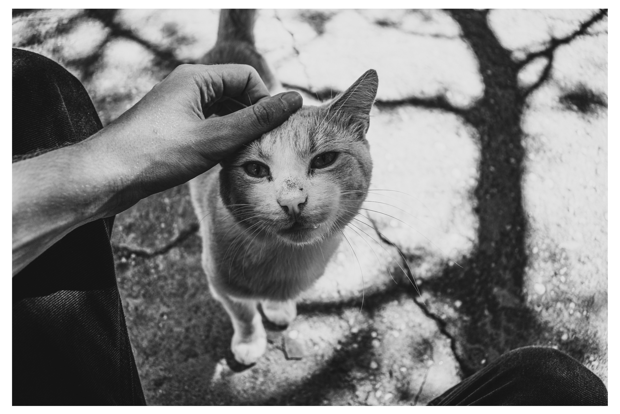 W&B HORIZONTAL. Фотограф в Севастополе Максим Черенёв