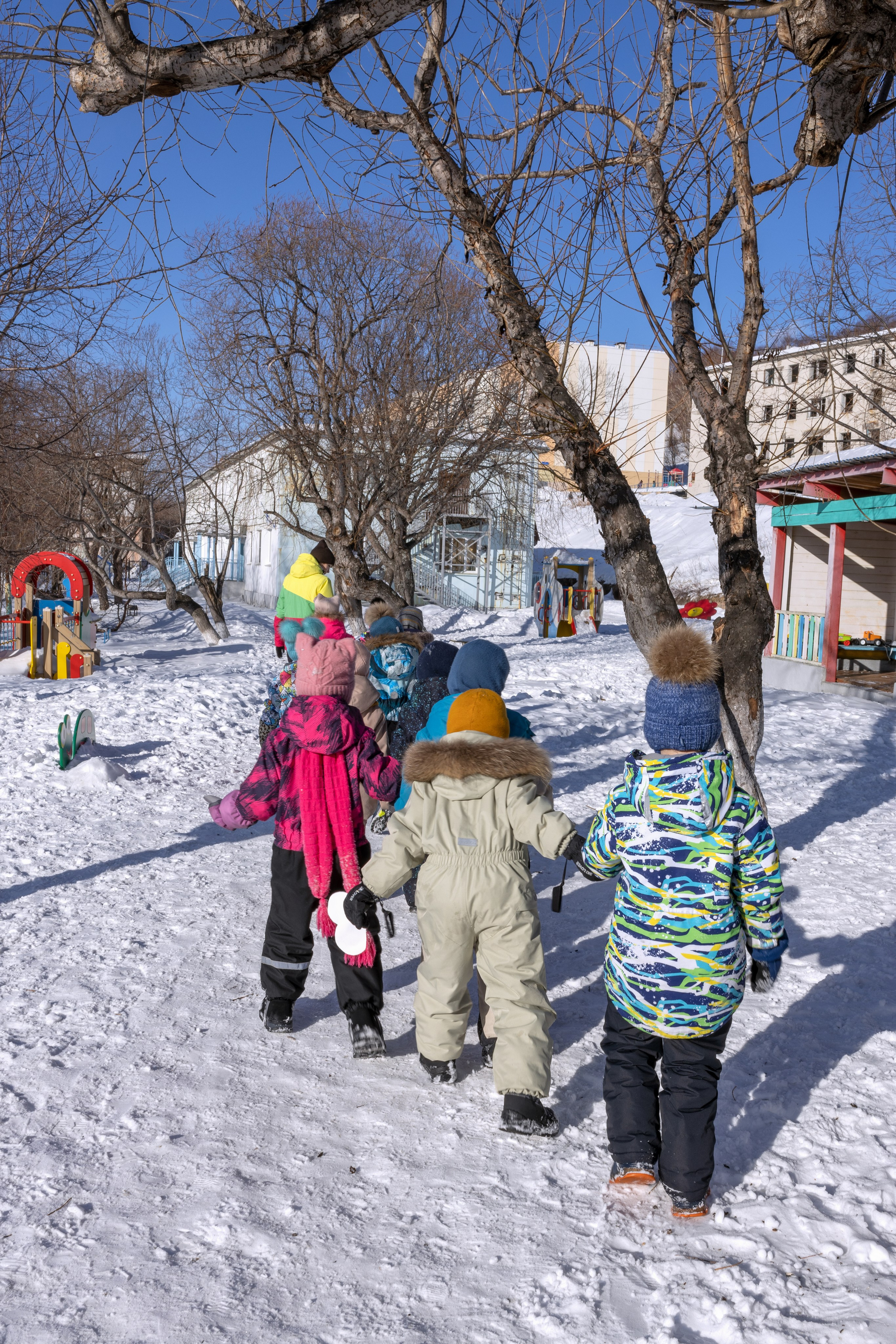 Зимняя прогулка. Ольга Смирнова юрист, фотограф