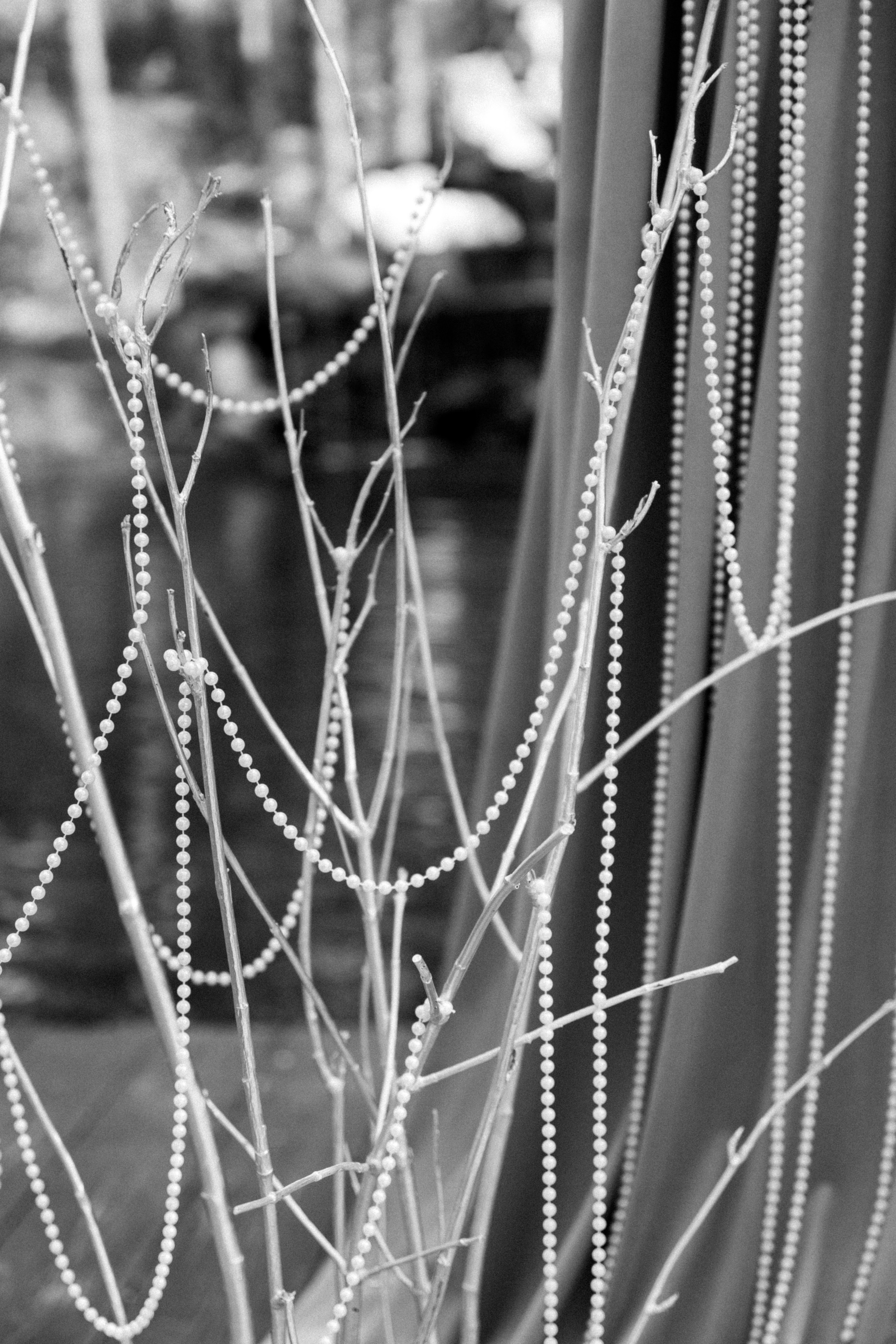 Павел и Мария. Фотограф Тюмень Пушковская Кристина