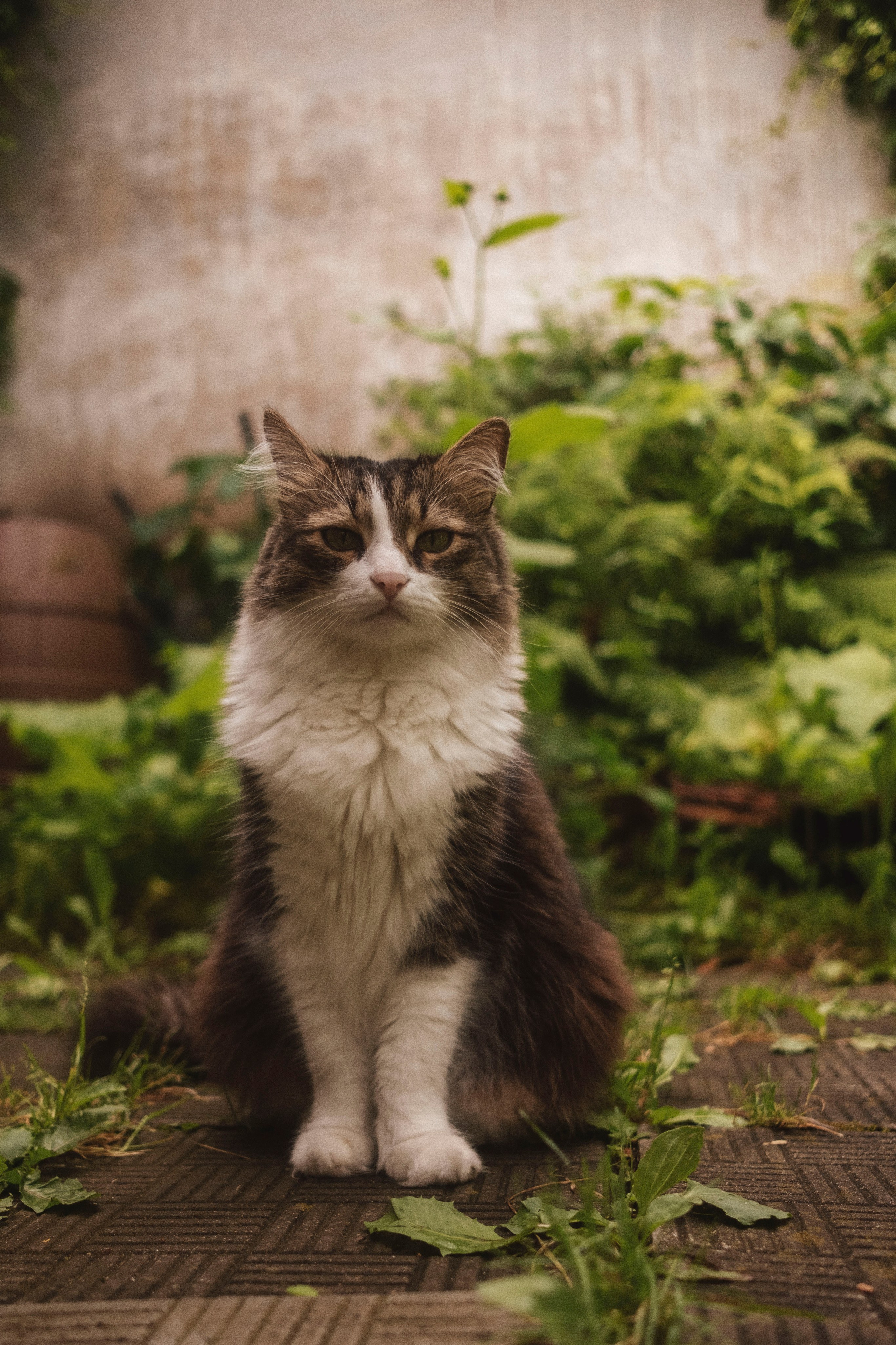 Дача, 2020. Портретный фотограф в Москве Евгения Яковенко