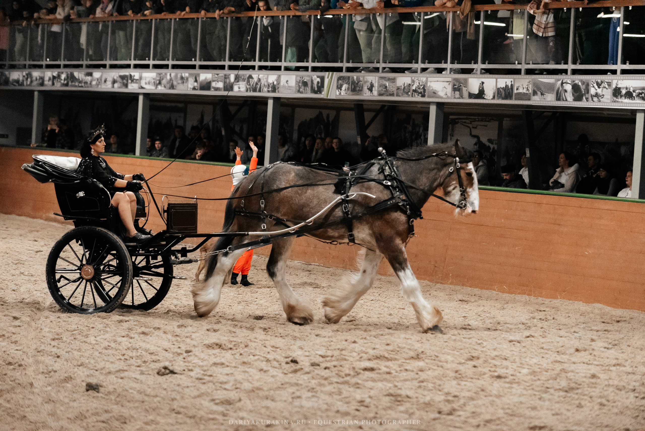 Конное представление «Дыхание Звёзд». Конный фотограф Куракина Дарья • Фотосессии с лошадьми