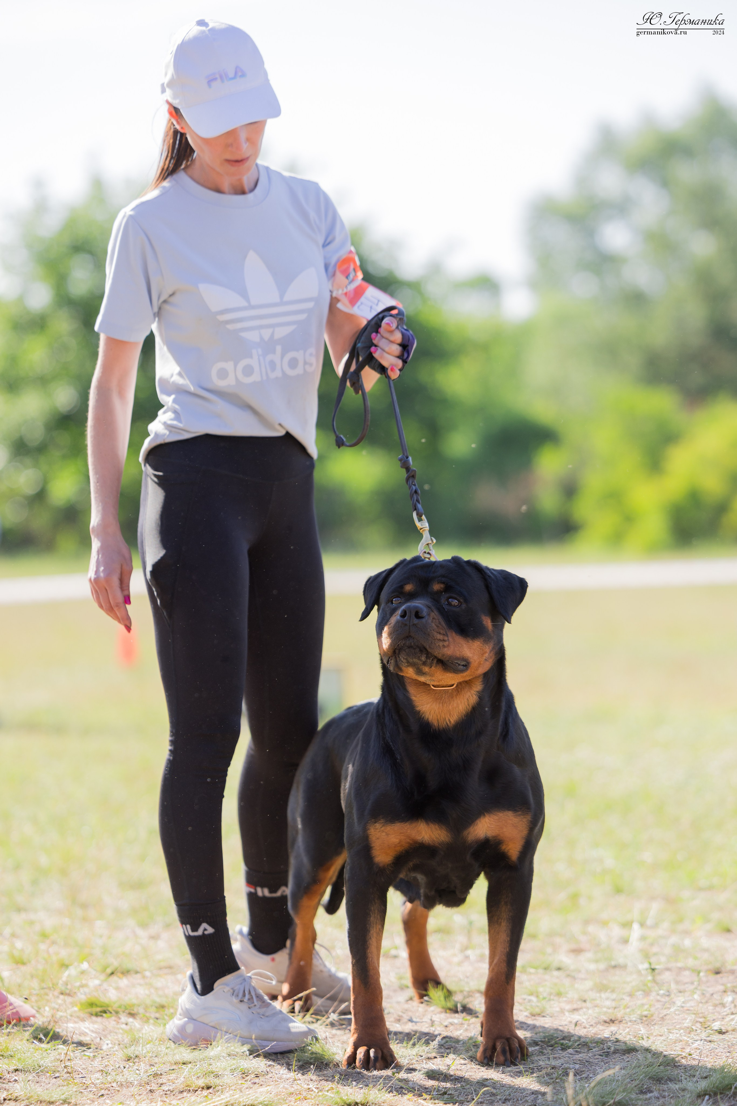Воронеж моно ротвейлеров 25-26.05.2024. Фотограф-анималист Юлия Германика
