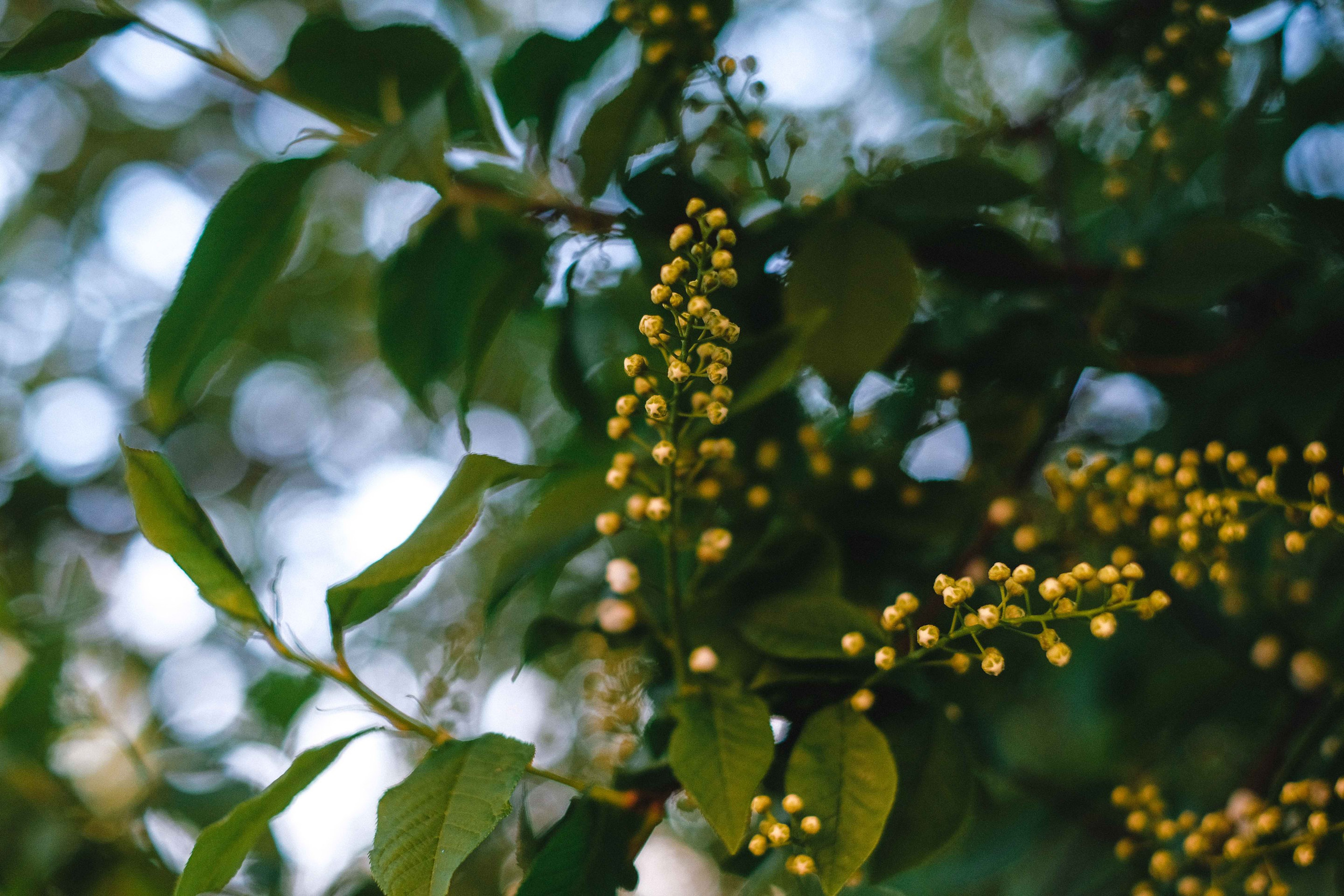 2022.05. Фотограф Алексей Алексеев