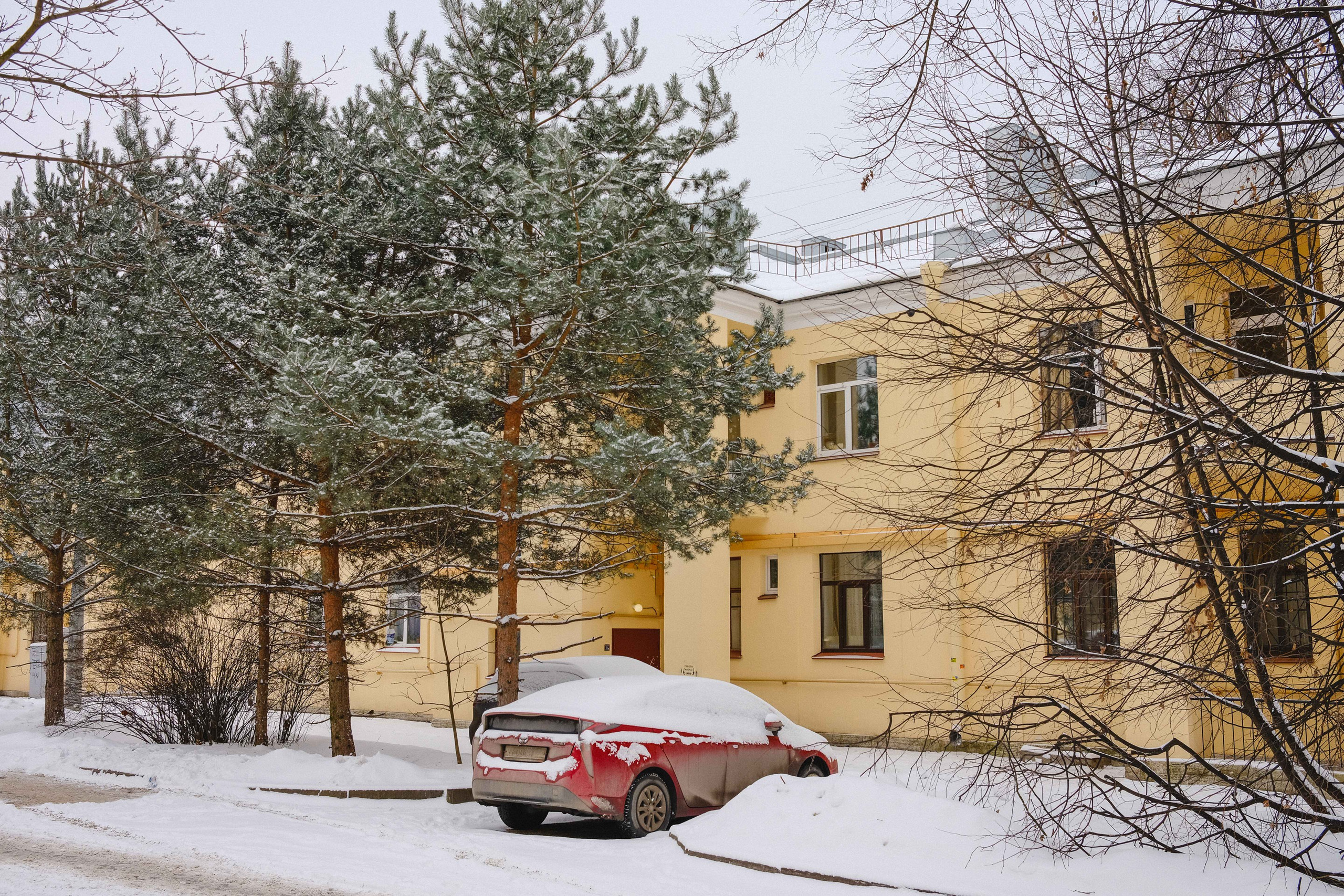 2023.02. Фотограф Алексей Алексеев