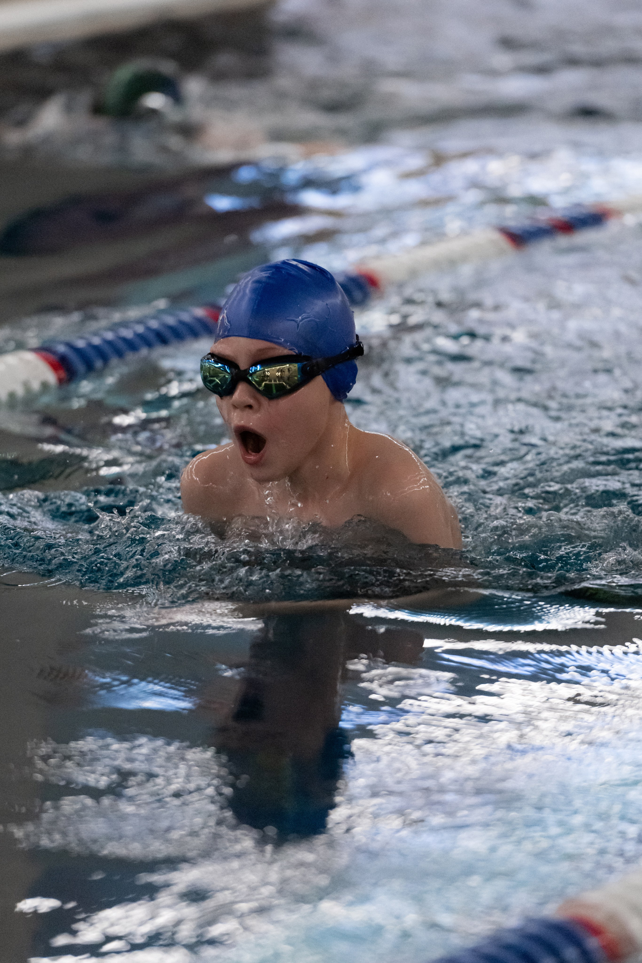 ЧЕМПИОНАТ ПО ПЛАВАНИЮ. ДИНА МИХНЕВА спортивный фотограф Москва