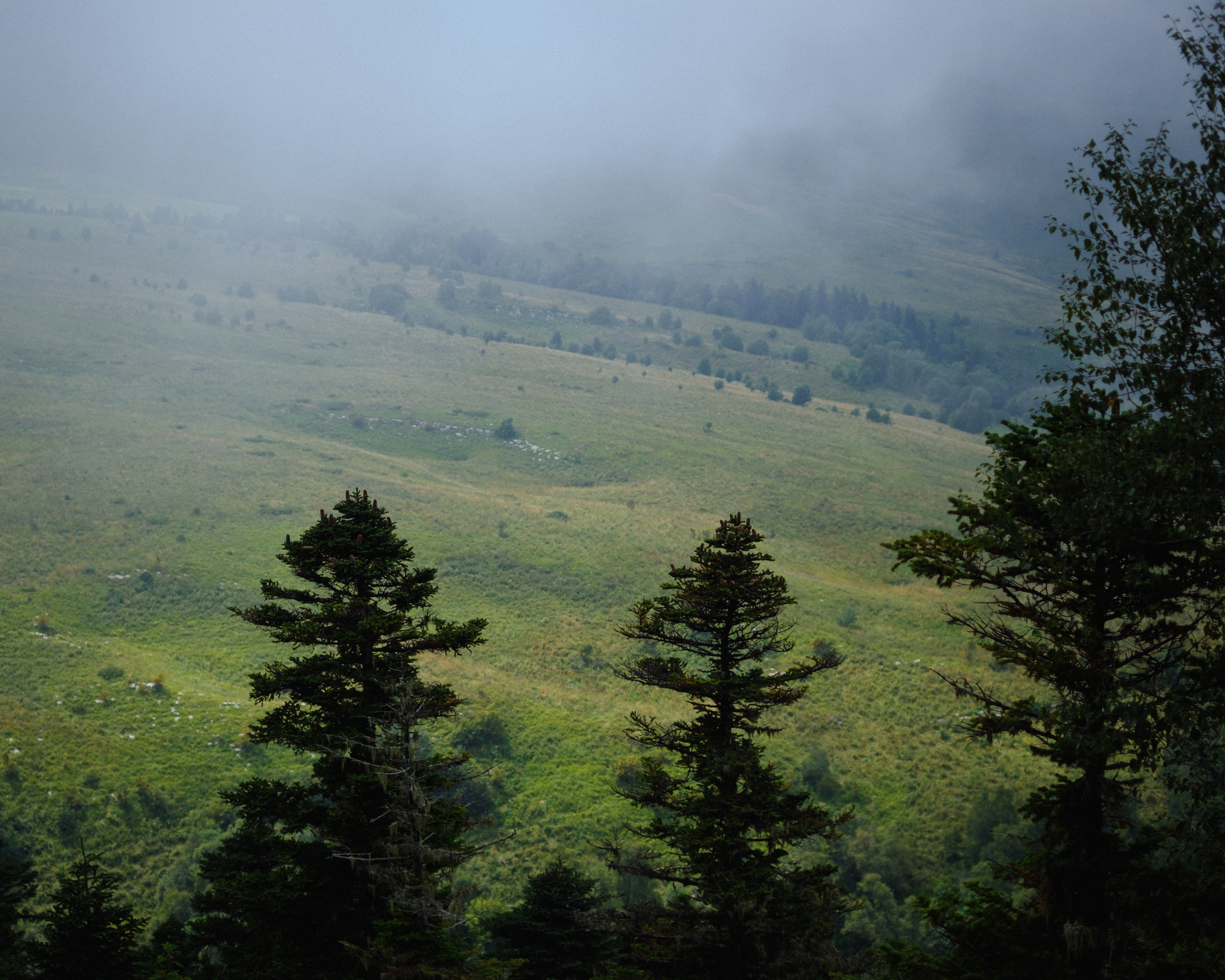 Тридцатка | август 2023