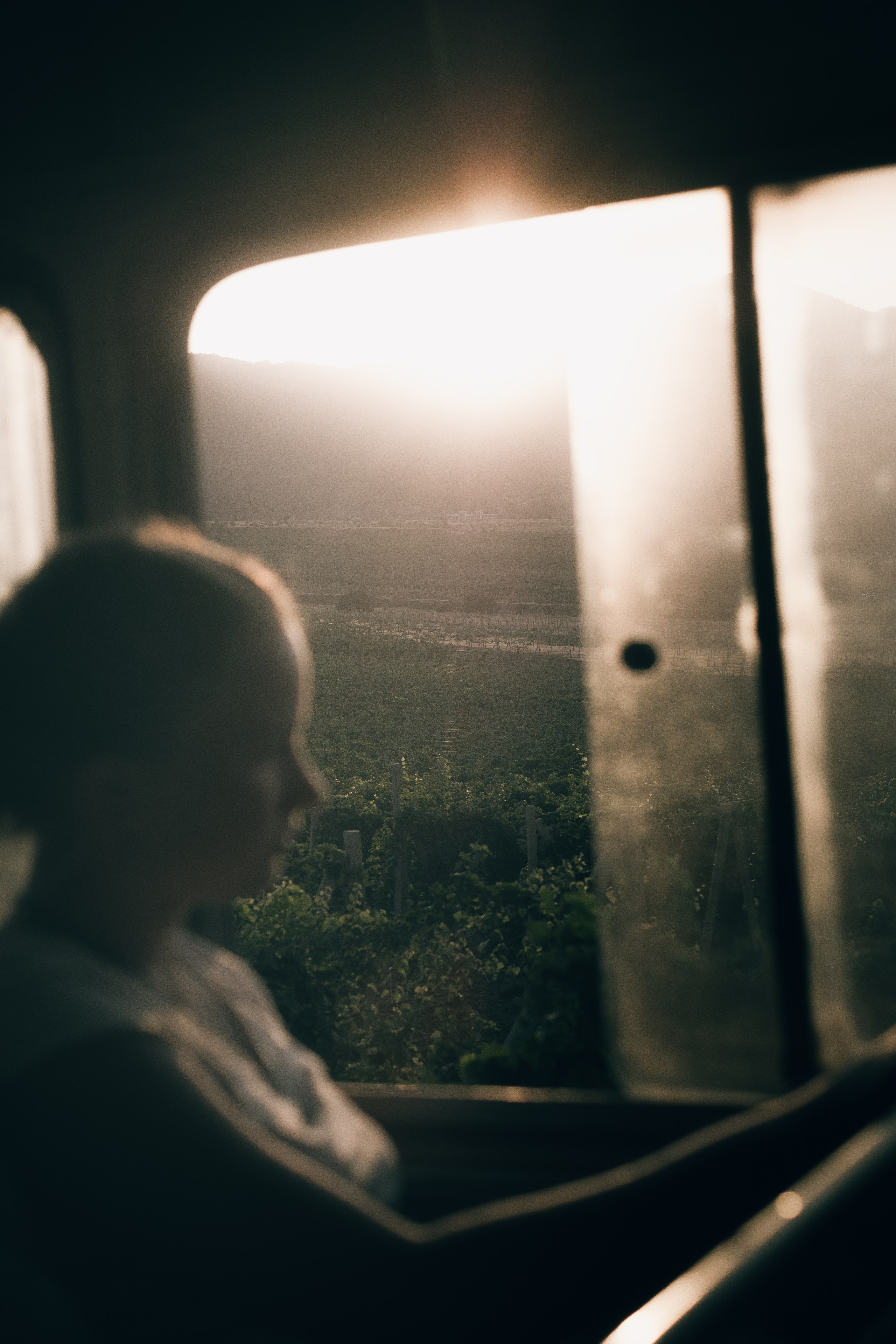 Сезон 2019. Alimov | photo