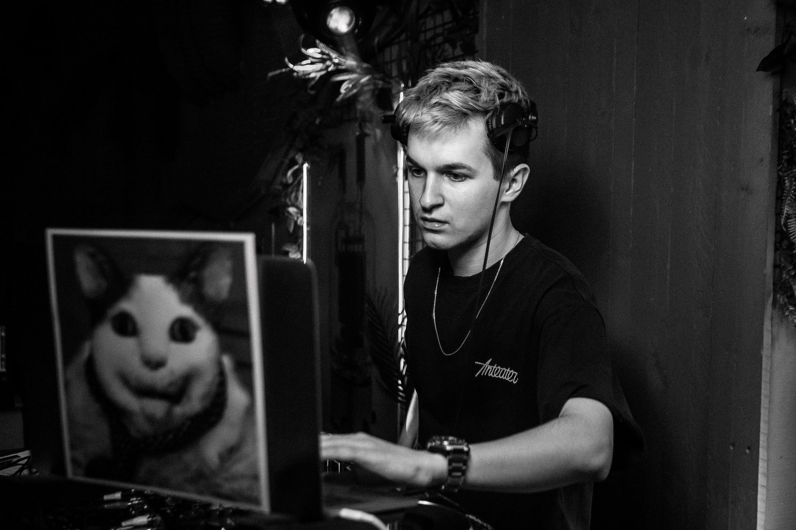 Tortuga_Lambriq_part.2_Симферополь_23.11.2024. Аминов Руслан | Фотограф