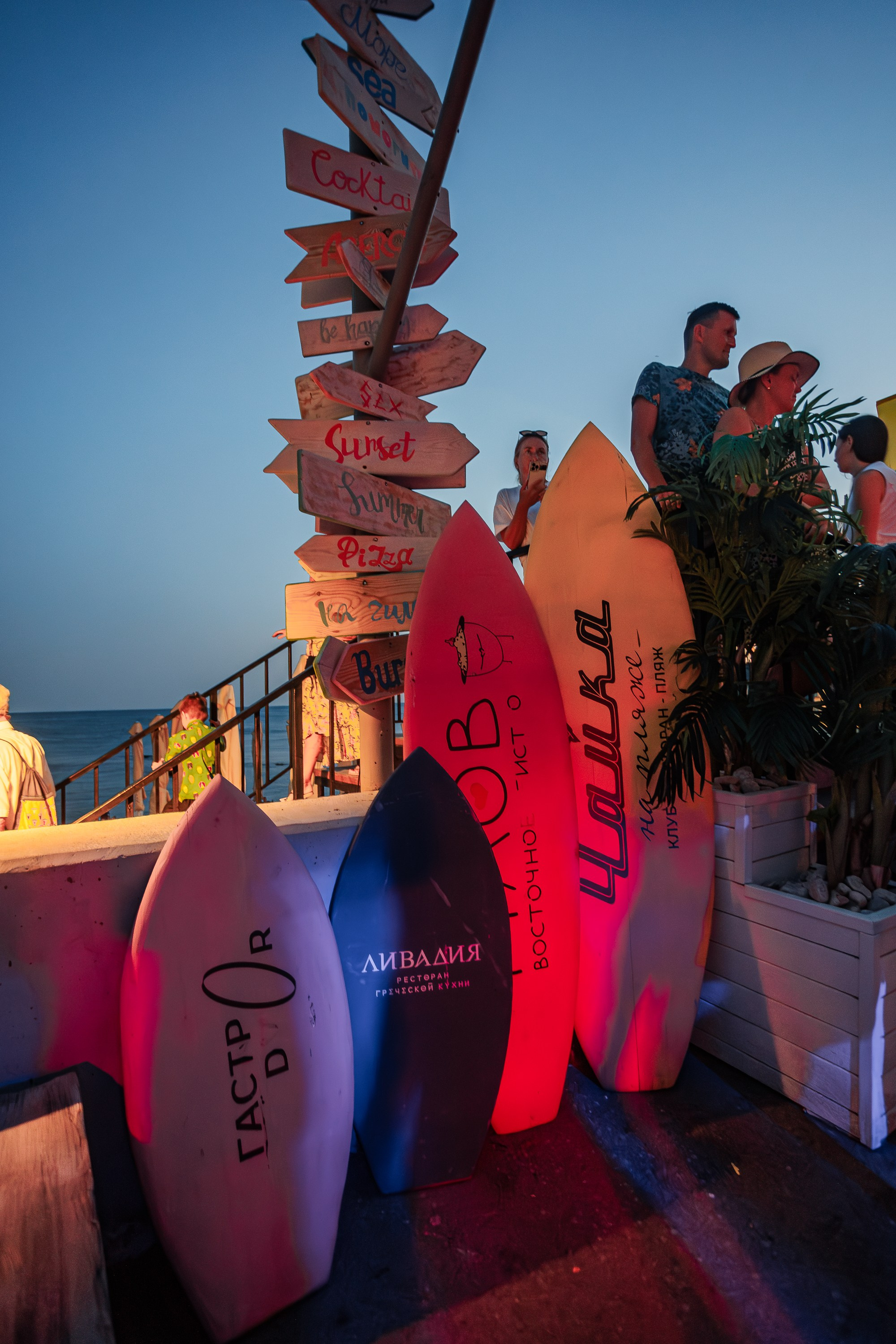 ZIMCERLA BIRTHDAY PARTY — HUNGRY BIRD_Симеиз_Крым_19.07.2025. Аминов Руслан | Фотограф