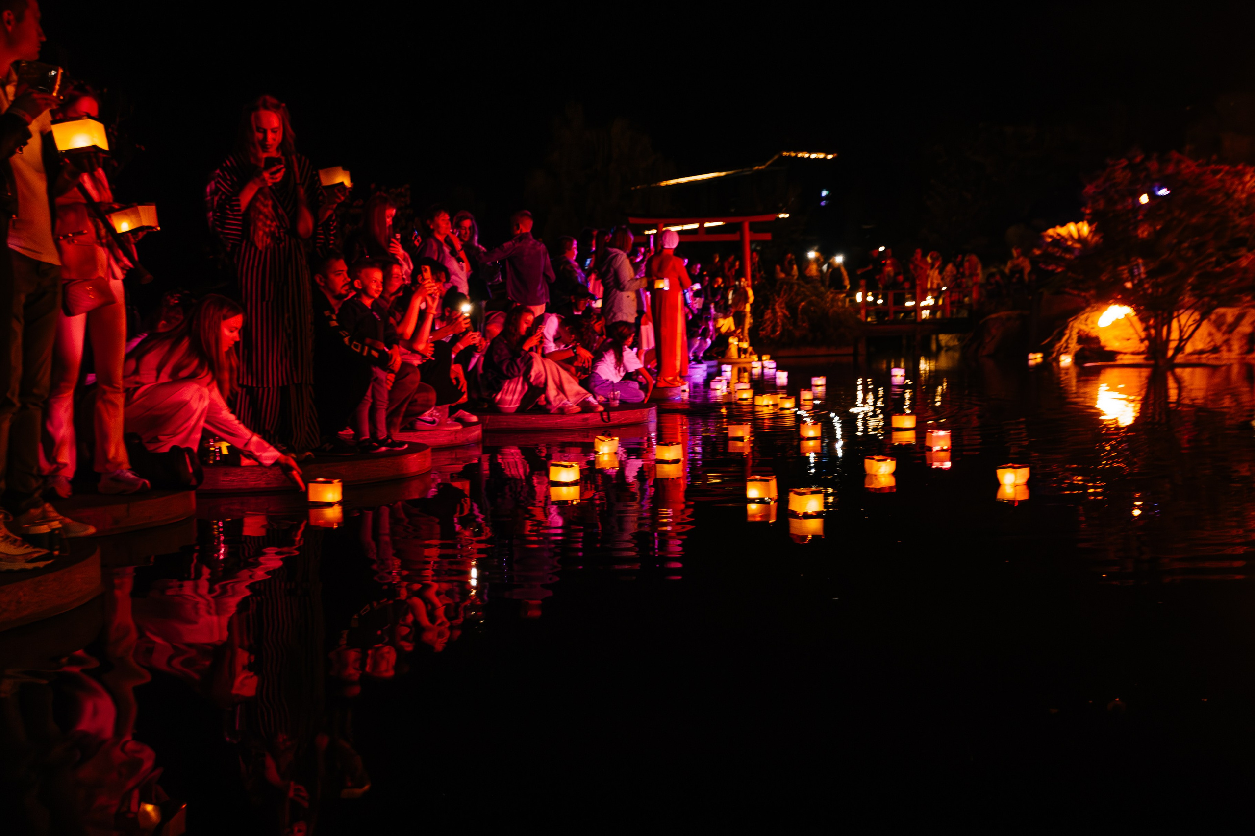 Мрия_Японский_сад_5.10.2024. Аминов Руслан | Фотограф