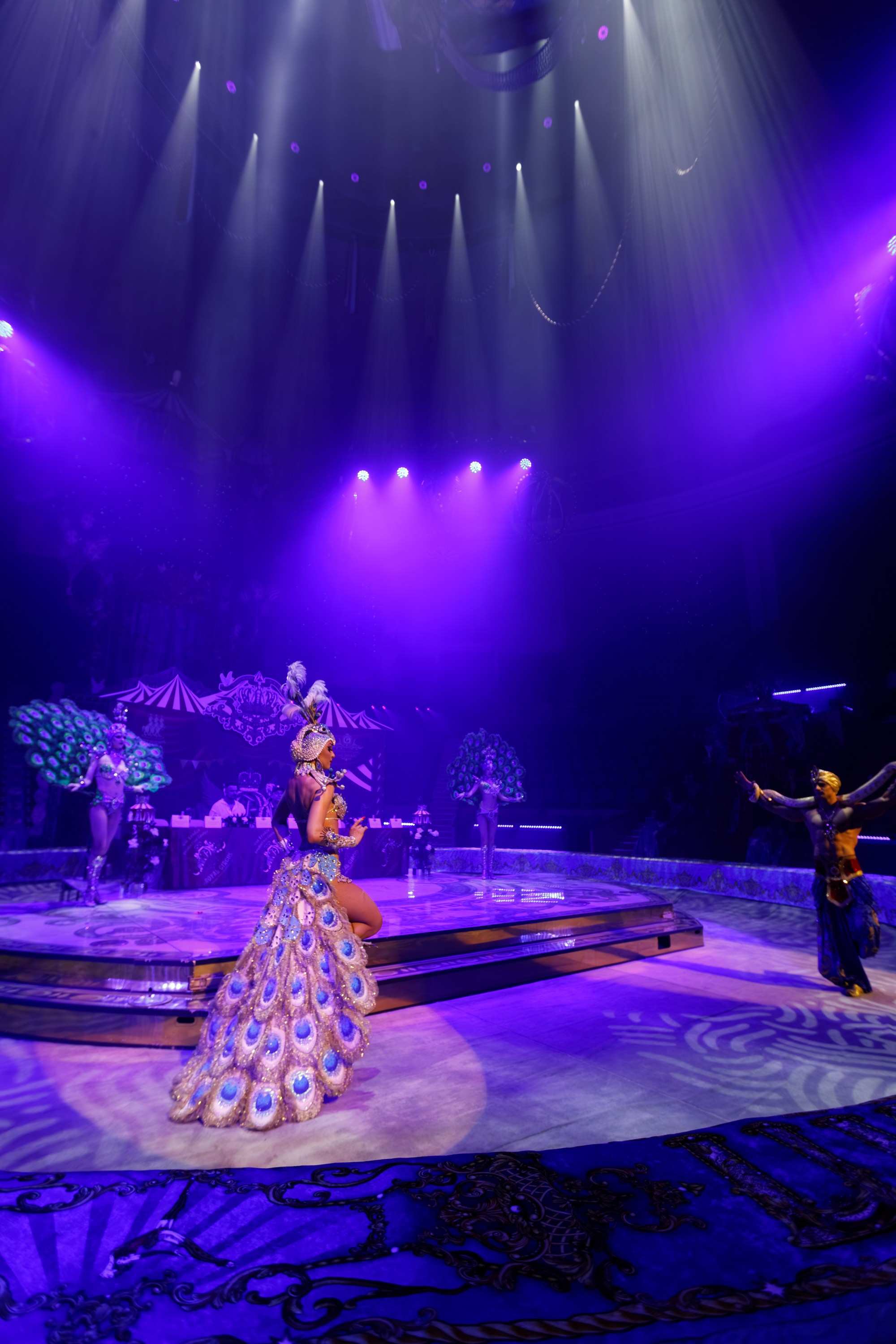 Сочинский росгорцирк Шоу Гии Эрадзе цирк. Профессиональный фотограф в Сочи Виктория Джой. Обучение