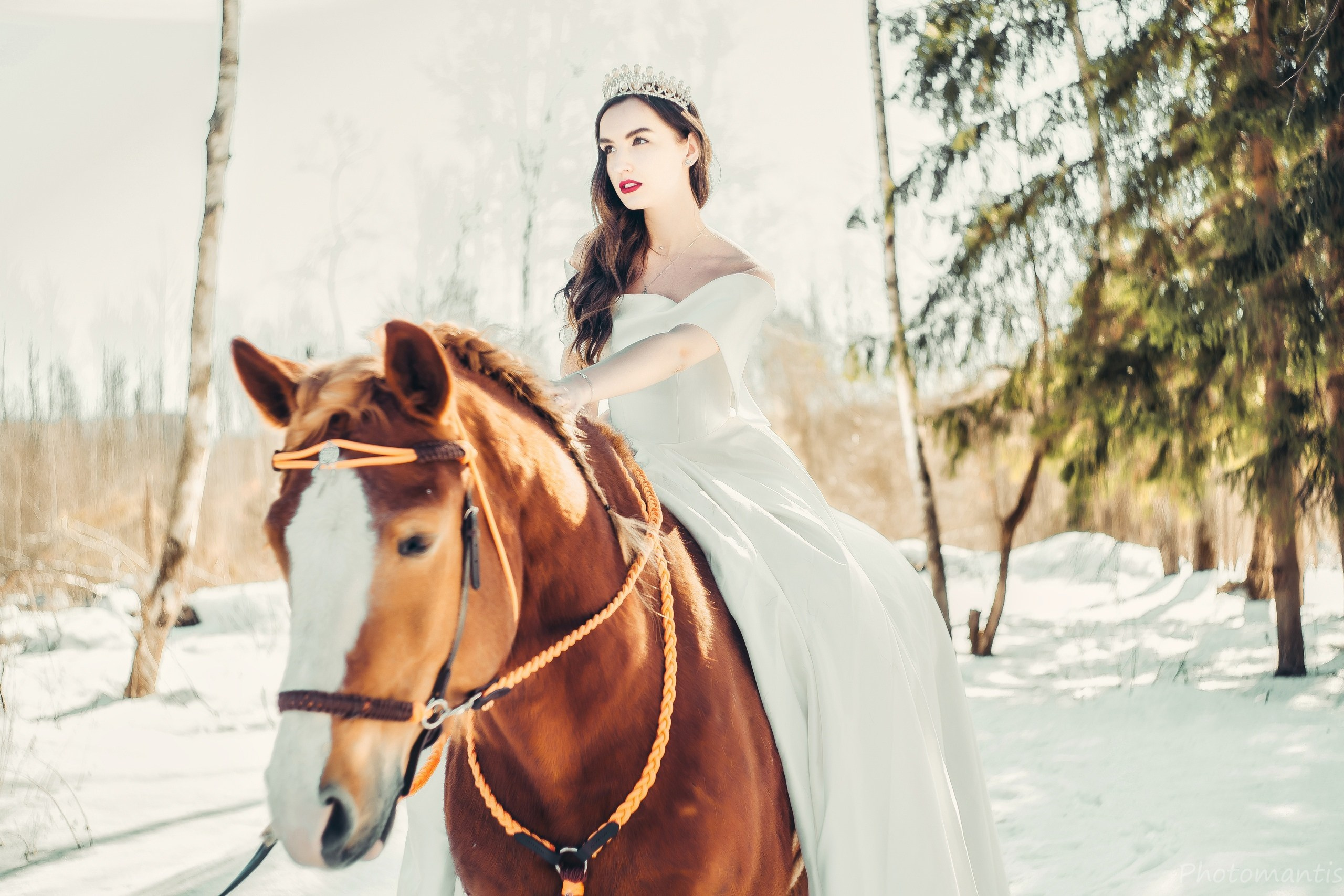 Девушки с лошадками. Photomantis