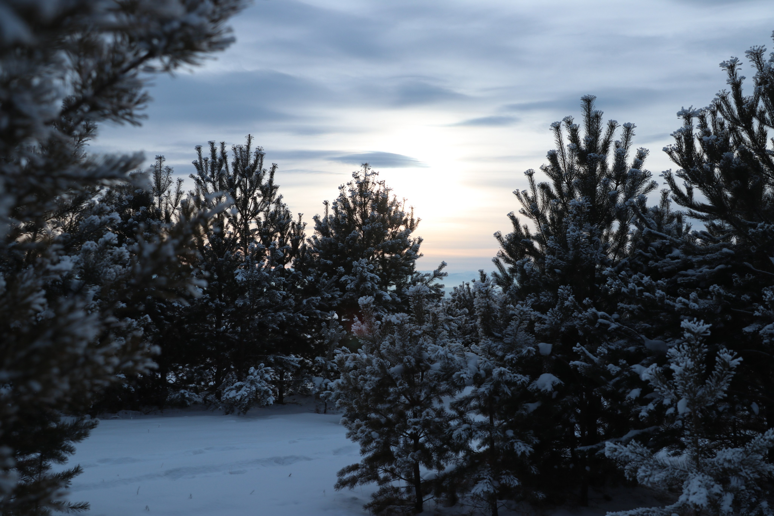 Аршан. Январь 2024. Путешественник-фотограф из Санкт-Петербурга Татьяна Свистулина