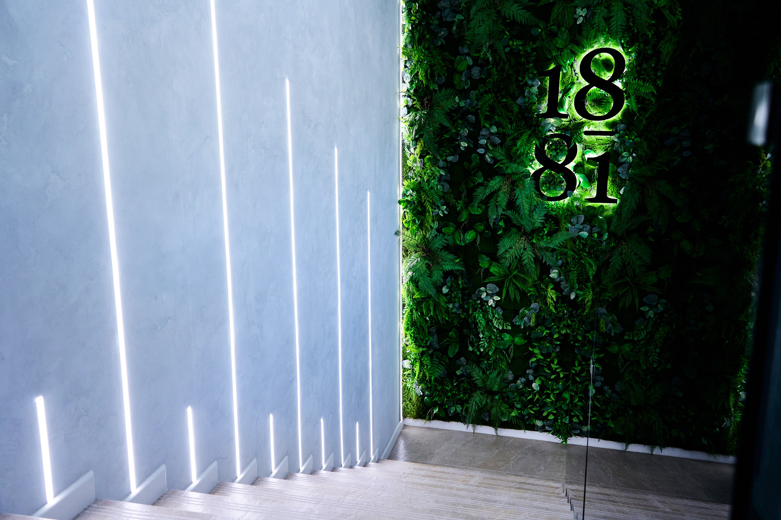 Интерьерная съемка 1881. Фотограф в Хабаровске