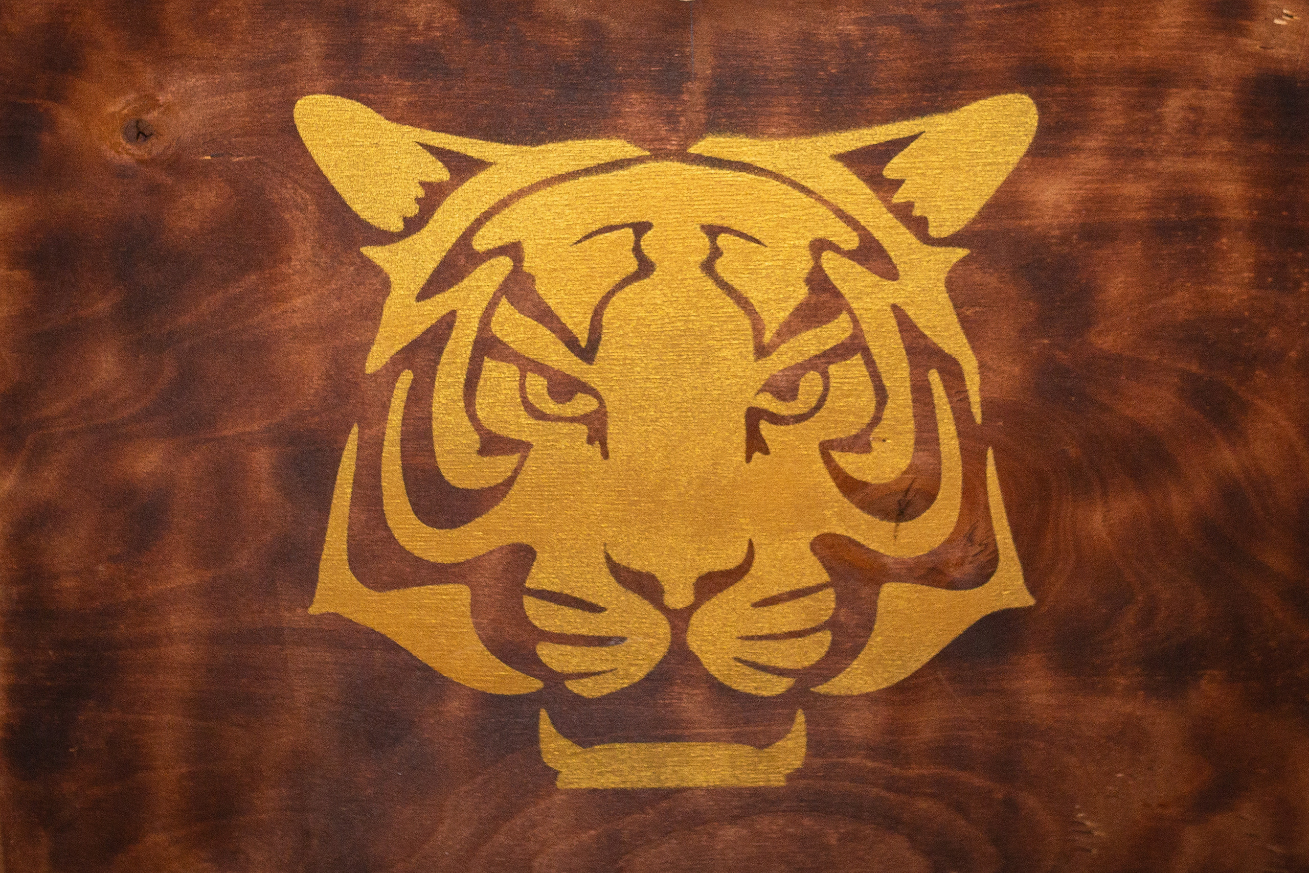 Отзывы. Фотограф Комаров Сергей