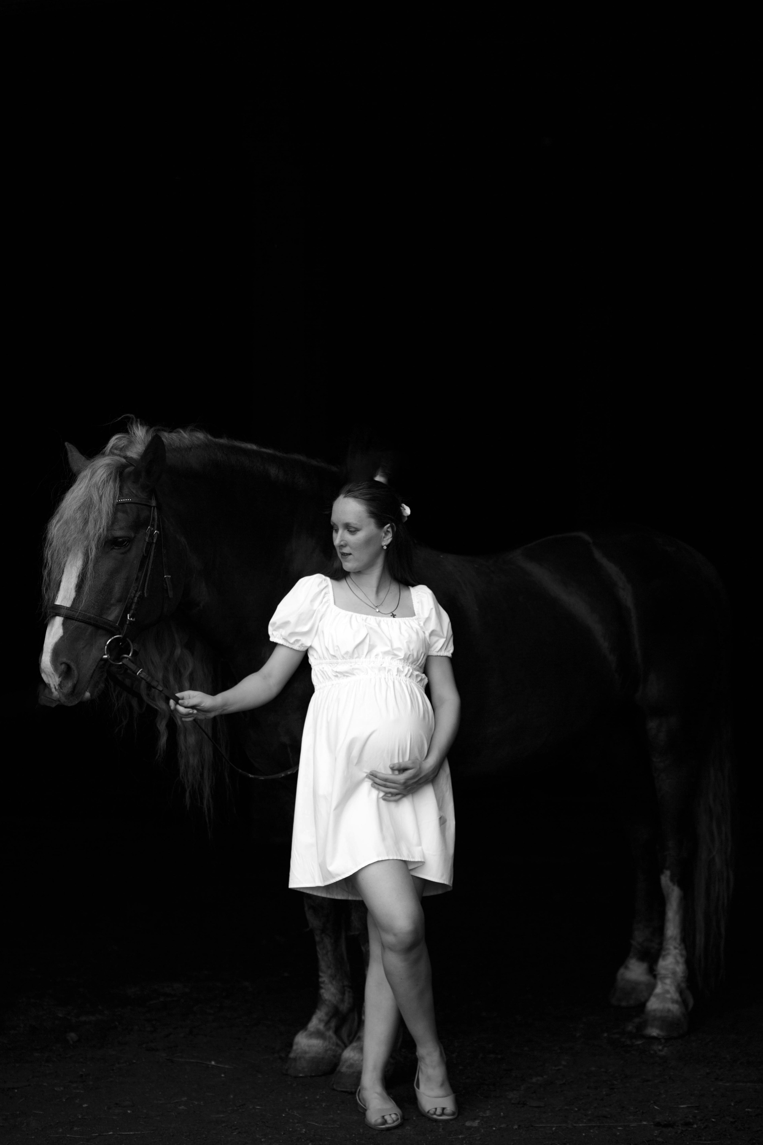 Карета 24. Конный фотограф в Красноярске — Любовь Похабова
