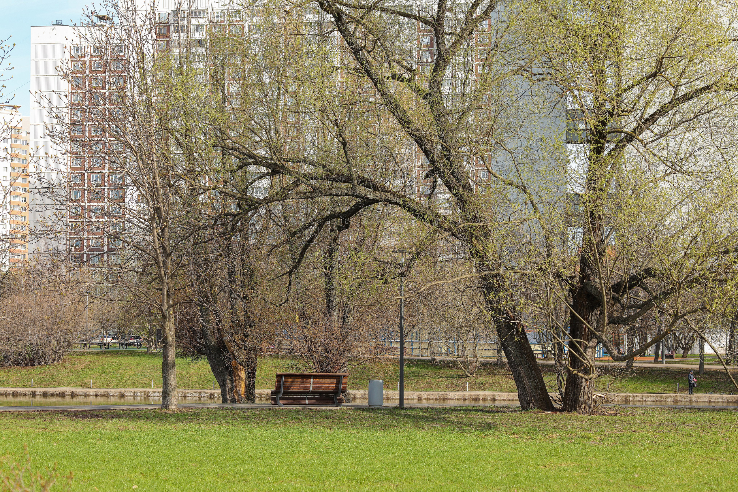 98-й забег, 5 вёрст Дружба, 13 апреля 2024 г. Фотограф Сергей Ловкий