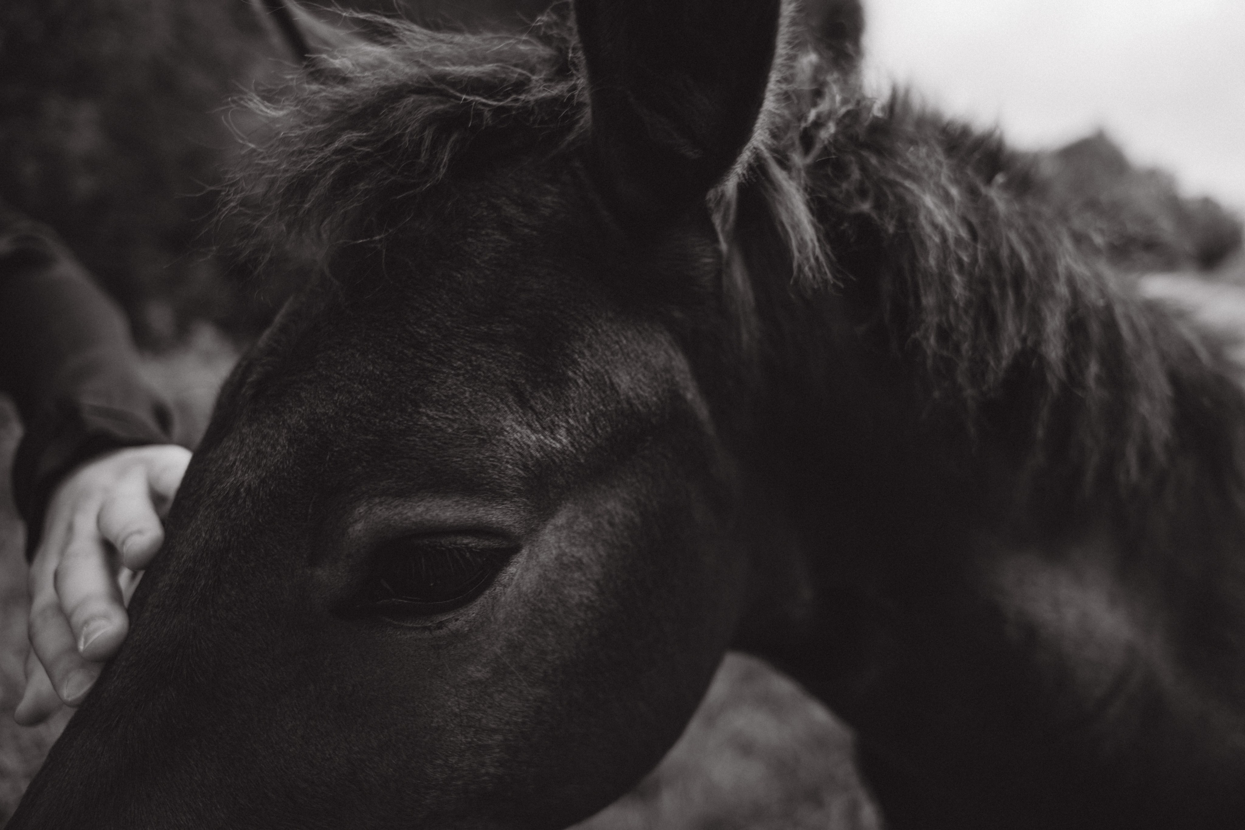 Полина + Ян. Фотограф Мария Миллс | Минск