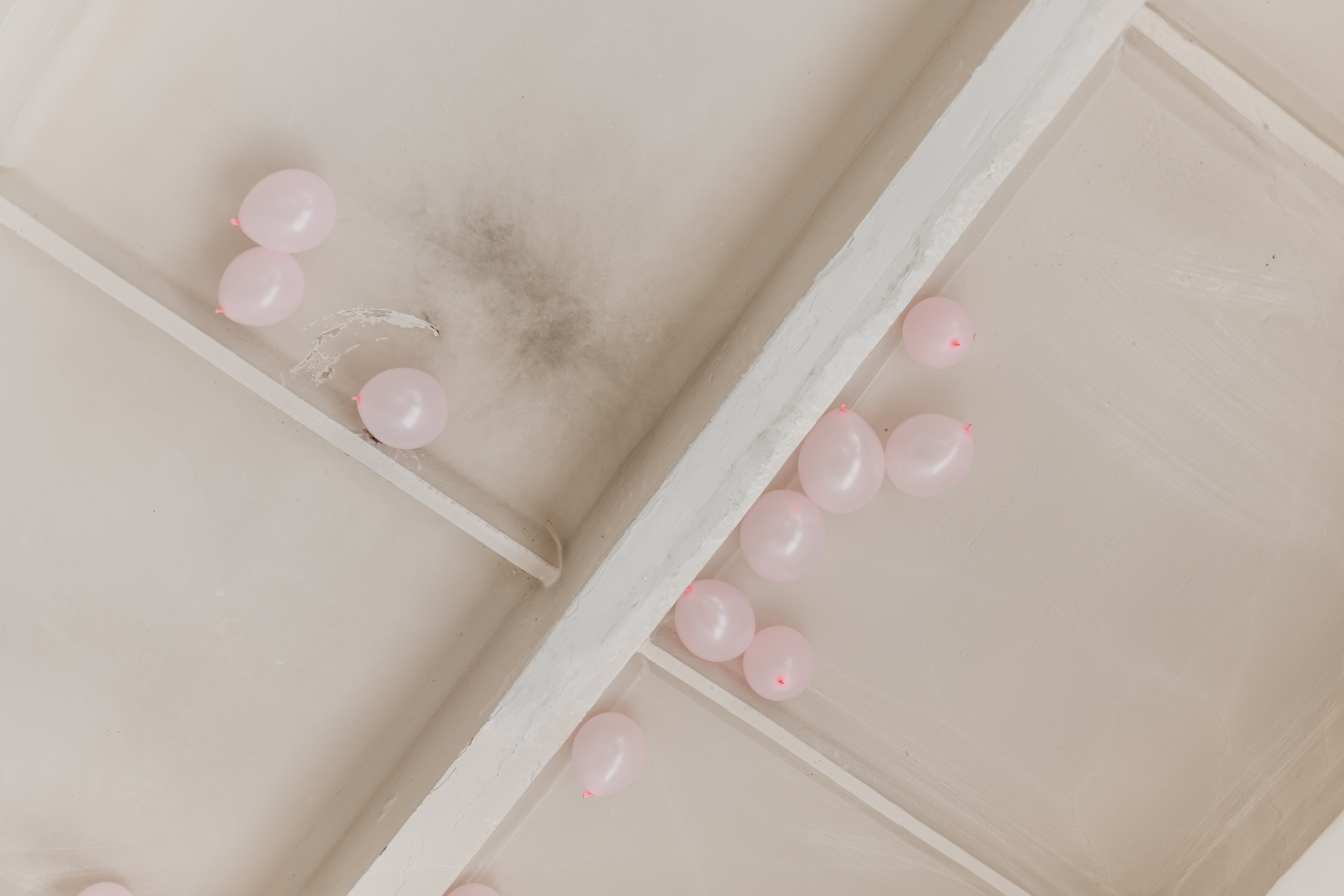 Гендер пати. Семейный фотограф Саша Воробей Майкоп