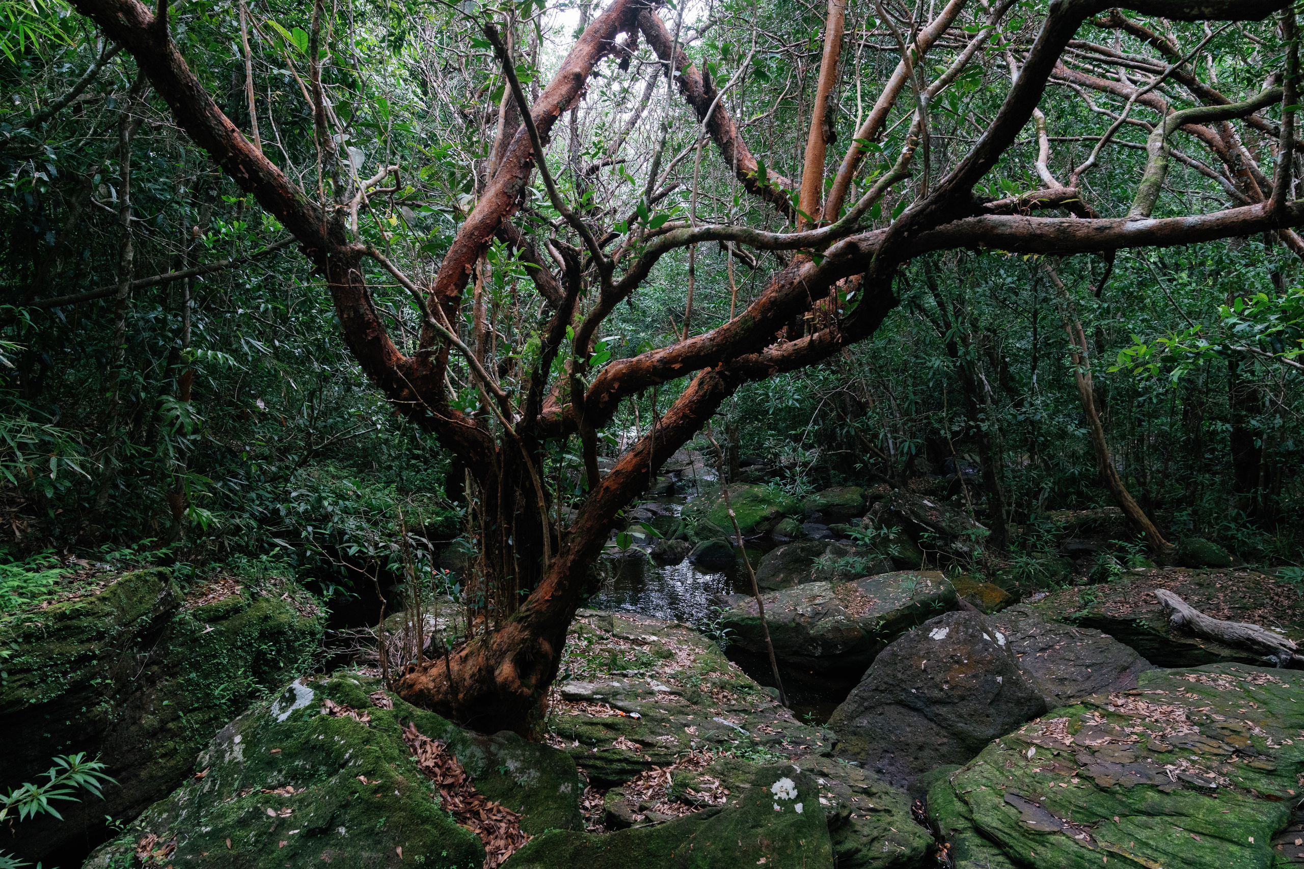 Phu Quoc photographer — Phu Quoc wedding photographer. PhuQuoc photographer — Phu Quoc wedding photographer