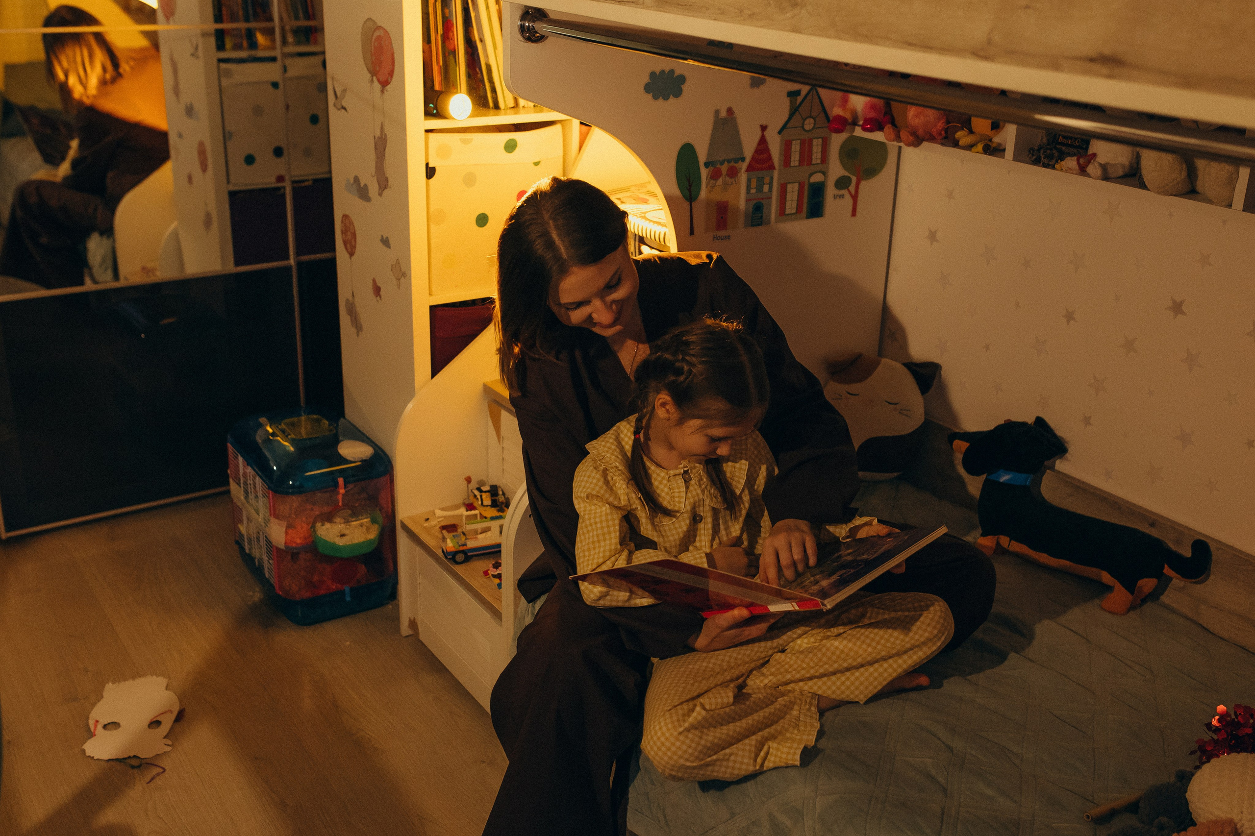 Домашняя история. Meryfotoidea