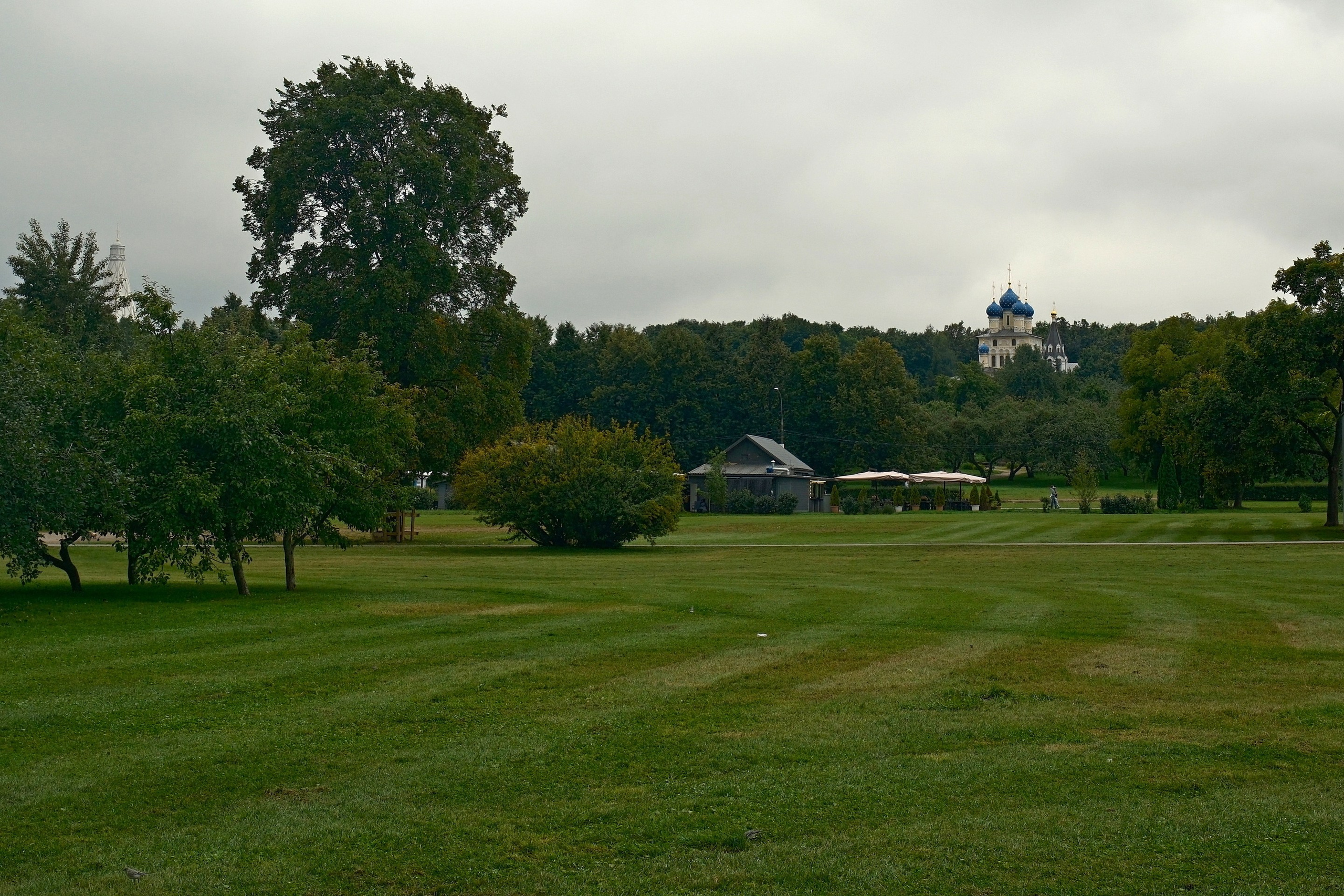 Август 2025. Улица, люди, жизнь…