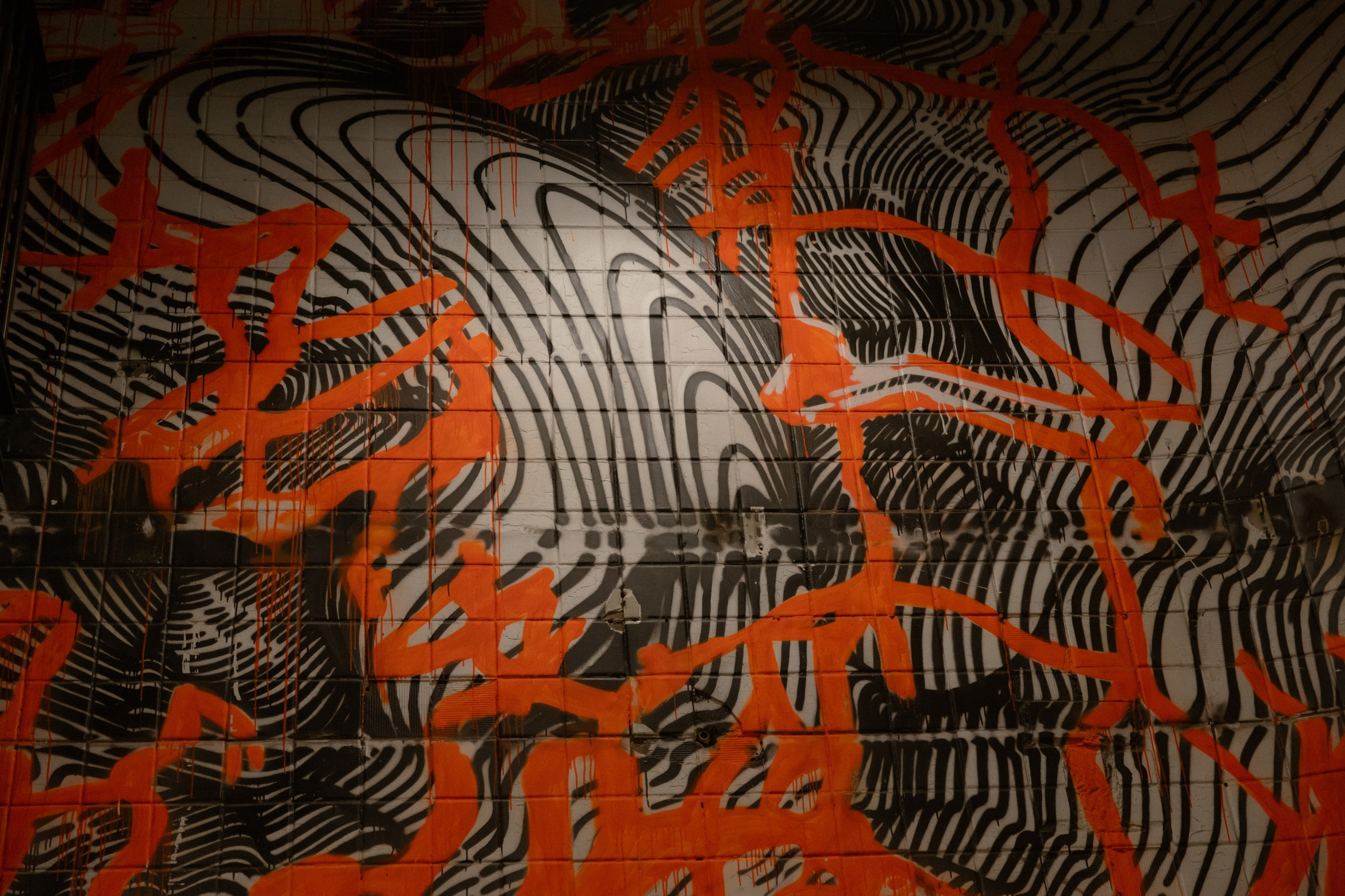 Кляйнвельт Архитектен. Герасимов Дмитрий